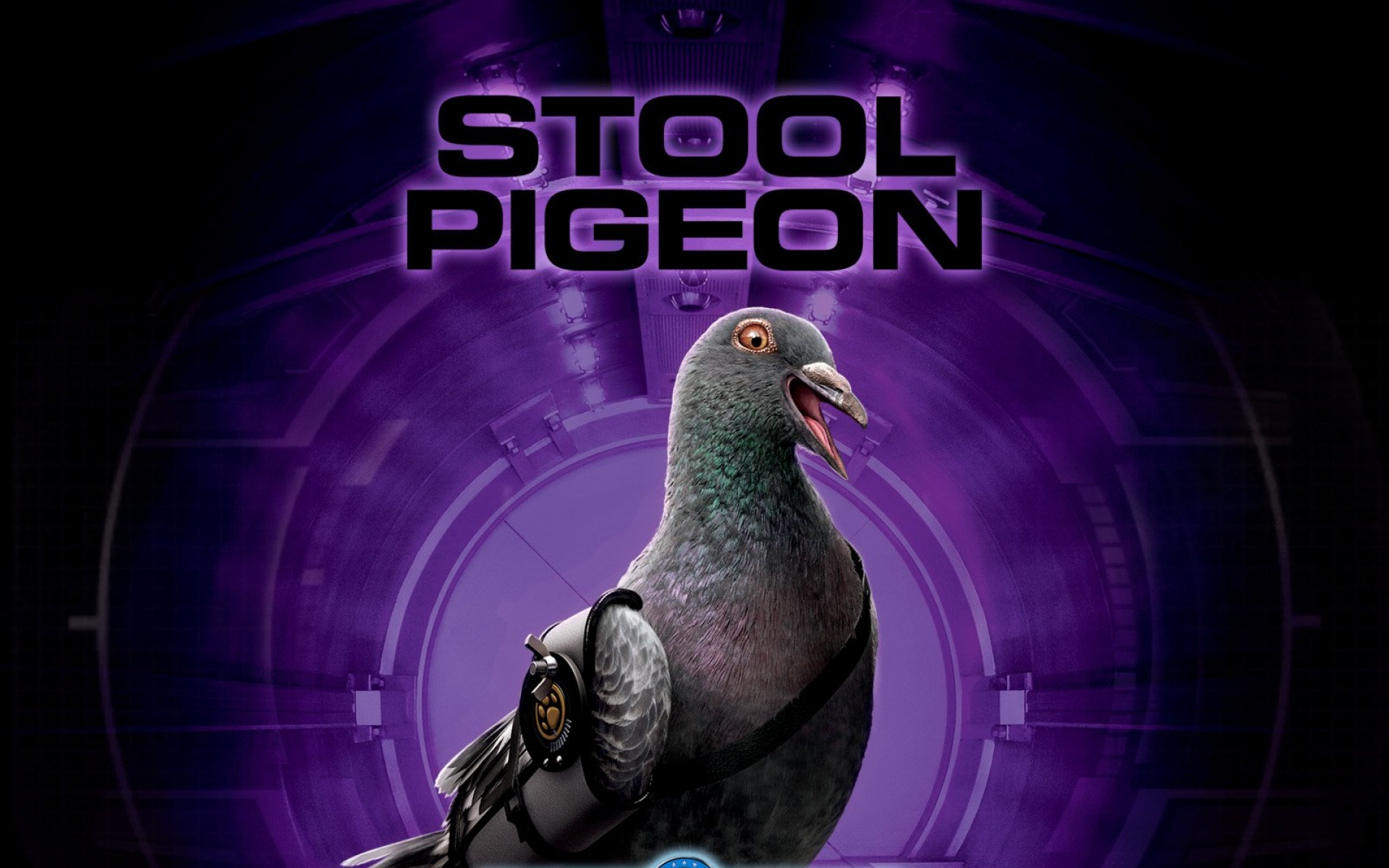 猫狗大战,影视,电影,2012Y十月30D