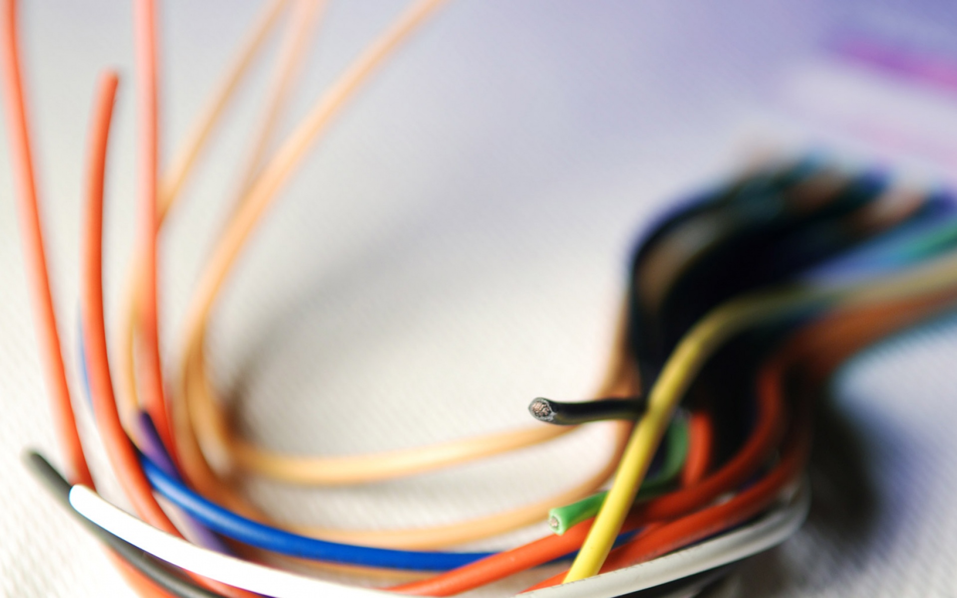 精美,艺术,设计,双屏,宽屏,2560x1024,2012Y十月30D,儿童桌面专用