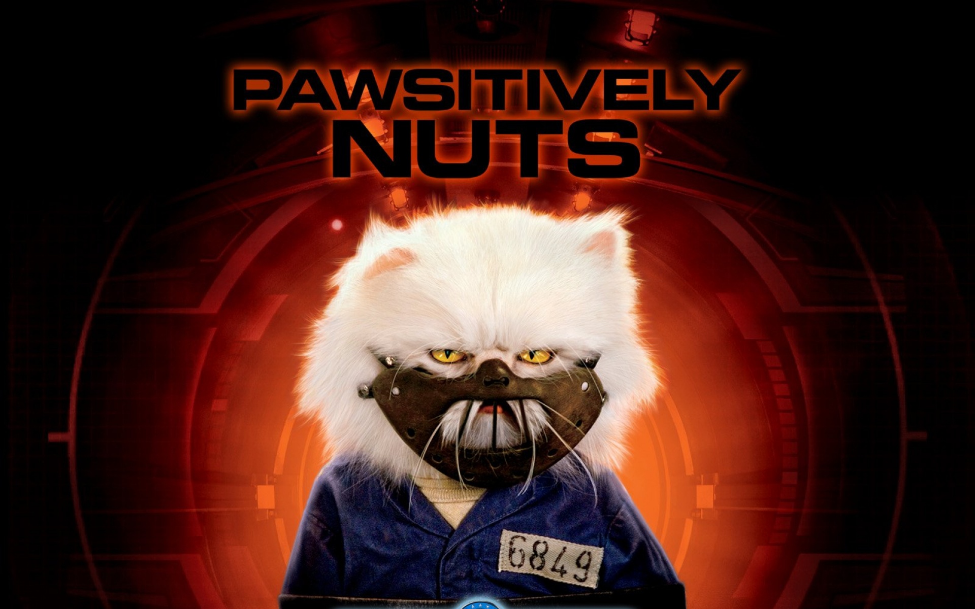 猫狗大战,影视,电影,2012Y十月30D