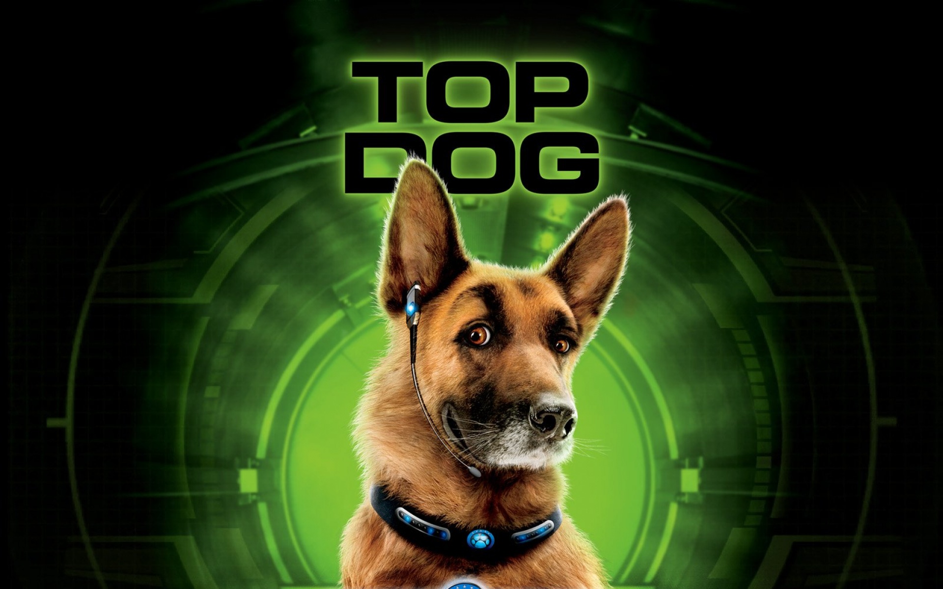 猫狗大战,影视,电影,2012Y十月30D