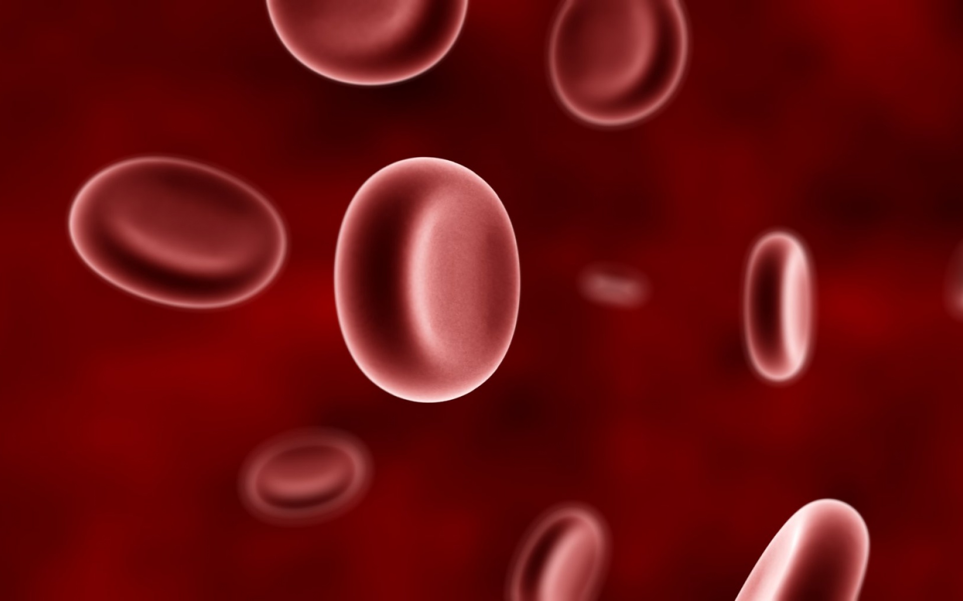 精美,艺术,设计,双屏,宽屏,2560x1024,2012Y十月30D,儿童桌面专用