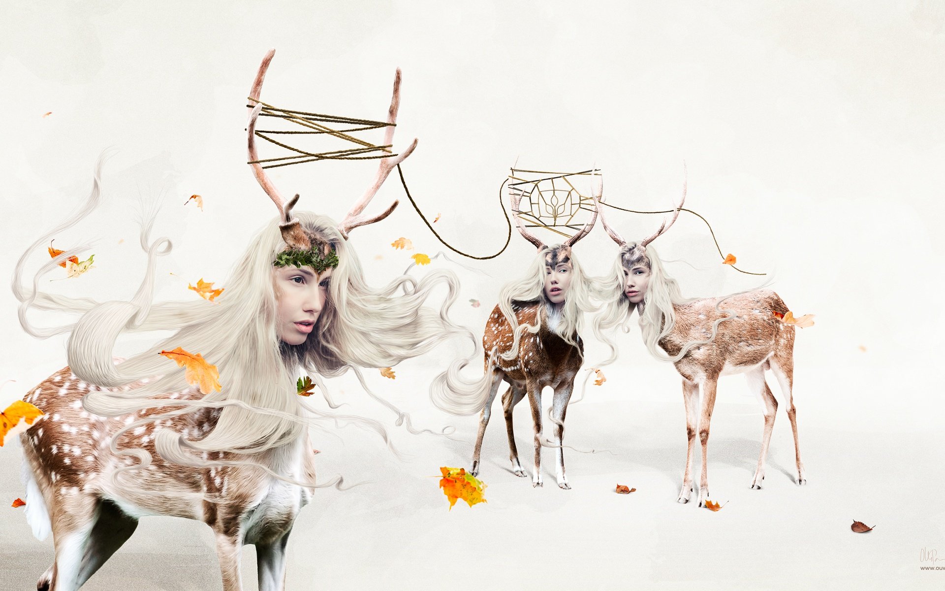 炫酷,设计,炫彩,趣味,十二月七日