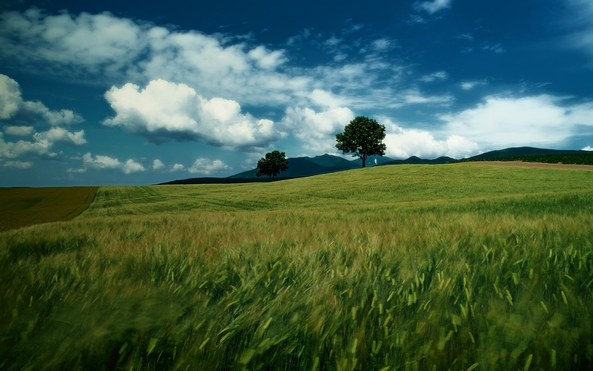 风景,风光,美景,旅游,自然,儿童桌面专用