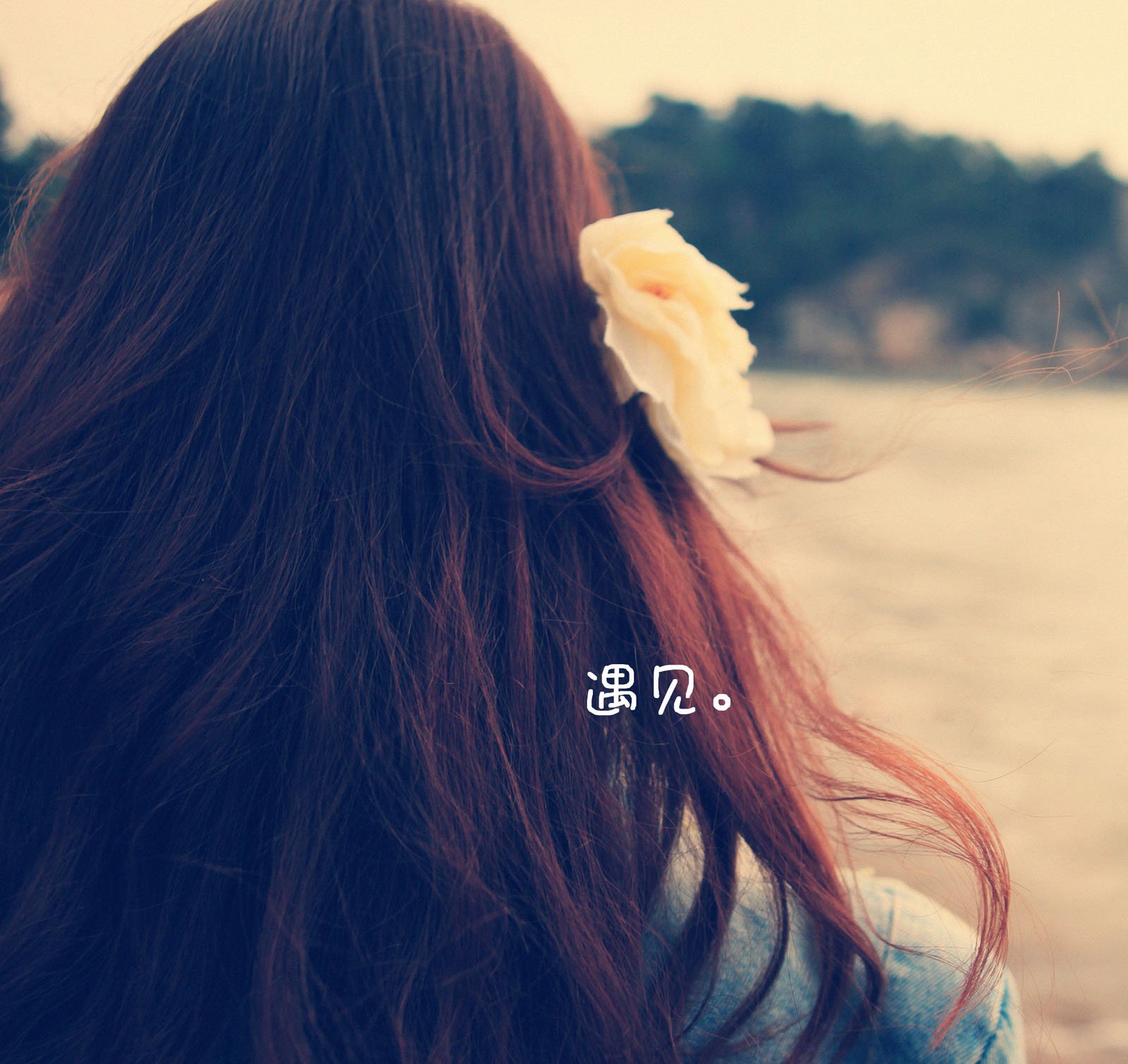 美女,萌妹子,清纯,清新