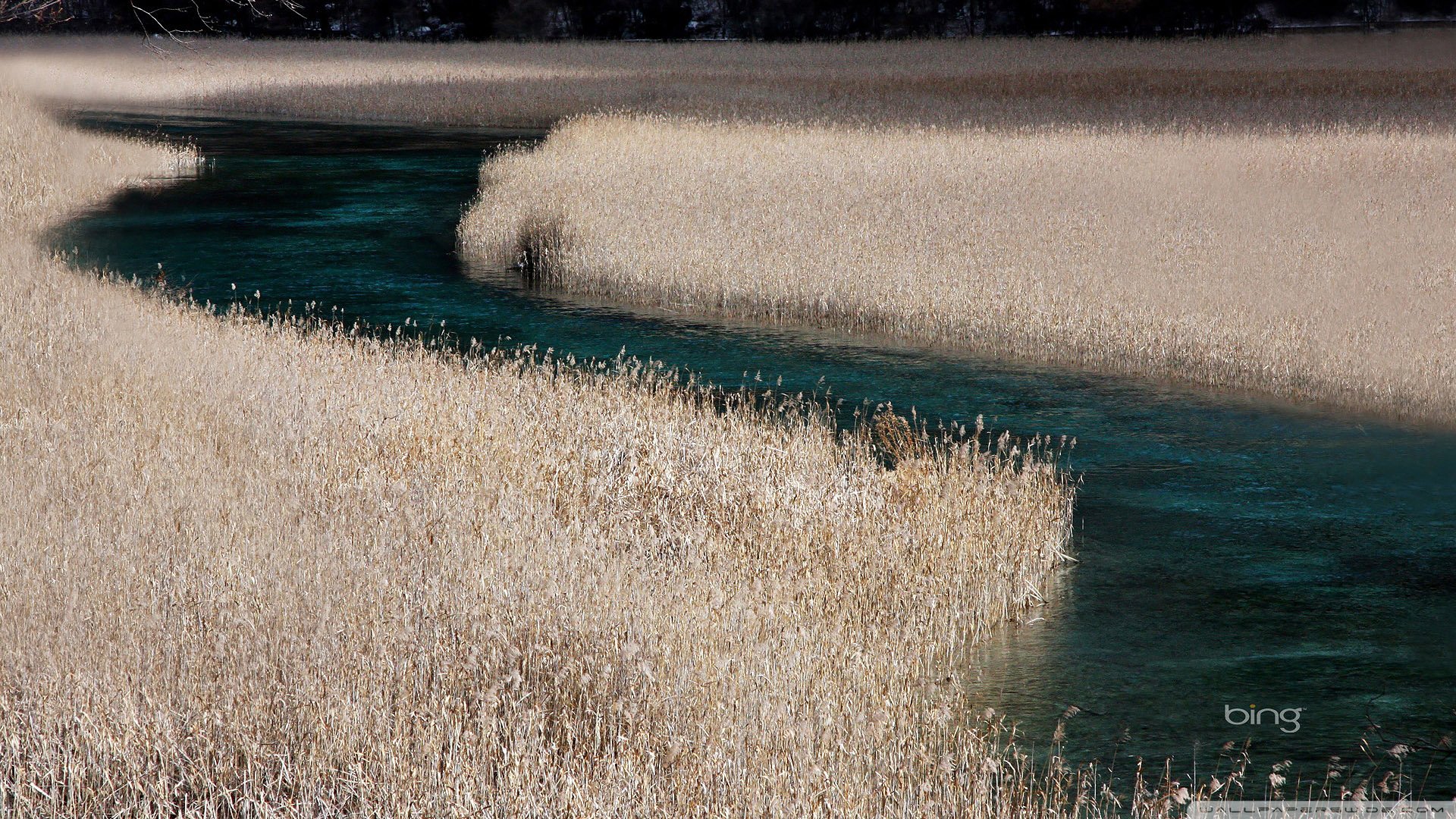 自然,风光,风景,河水,唯美