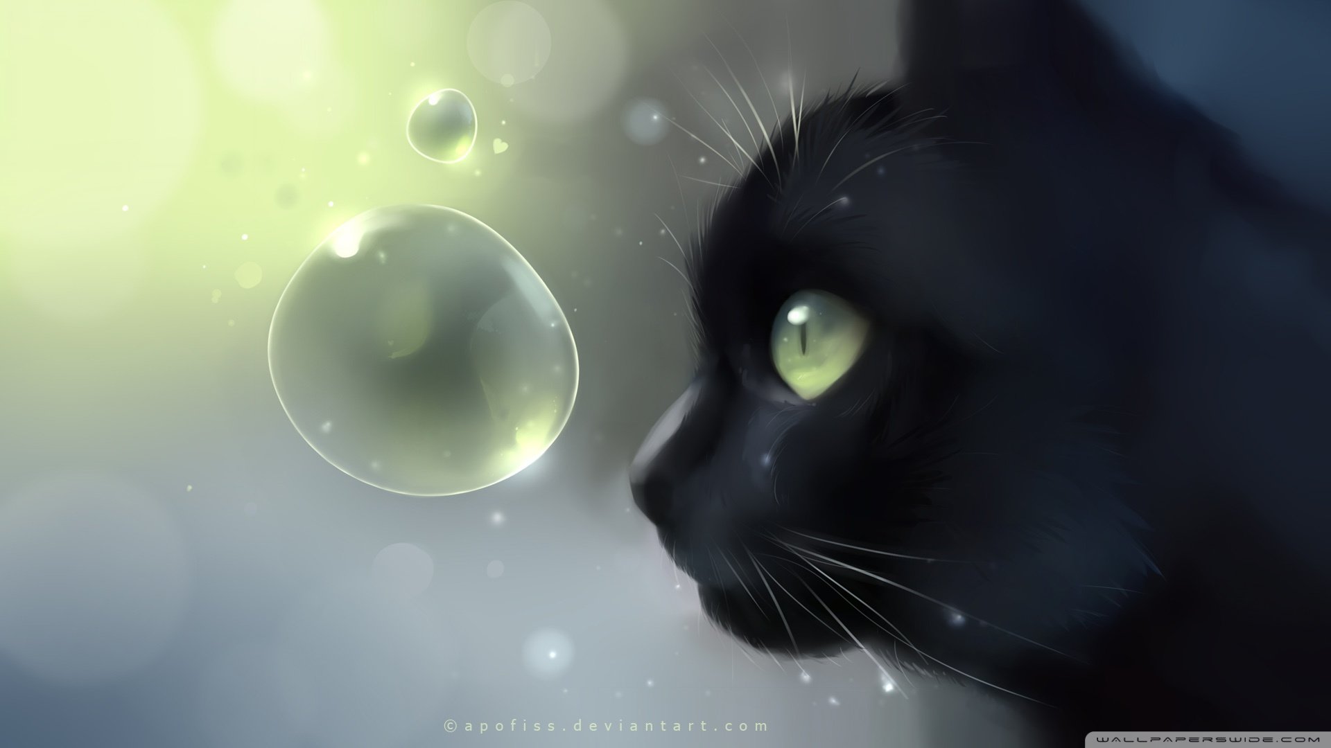 炫酷,特效,视觉艺术,设计,水彩,趣味猫