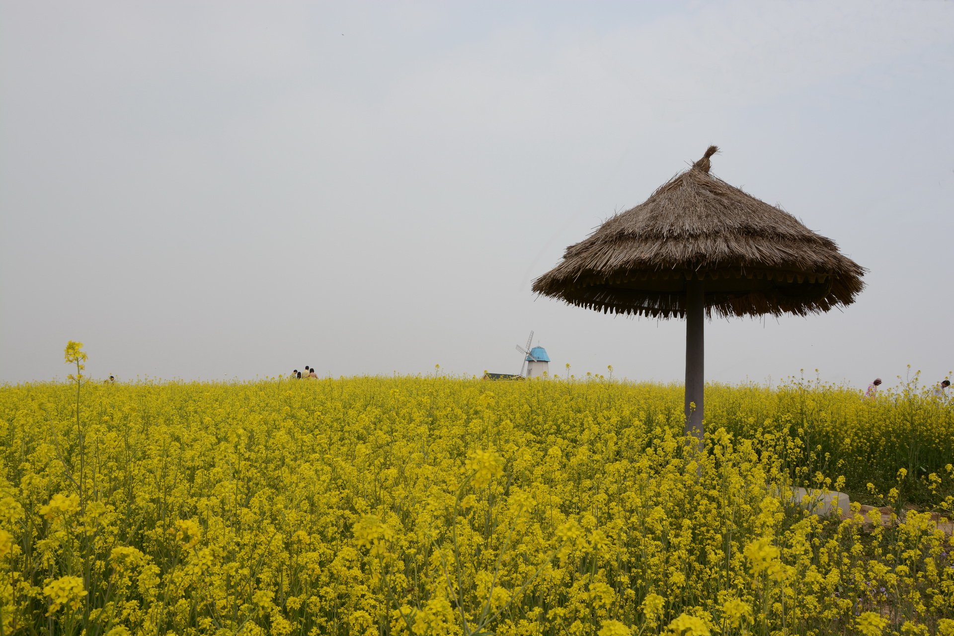 摄影,风景,摄影师卜凡文