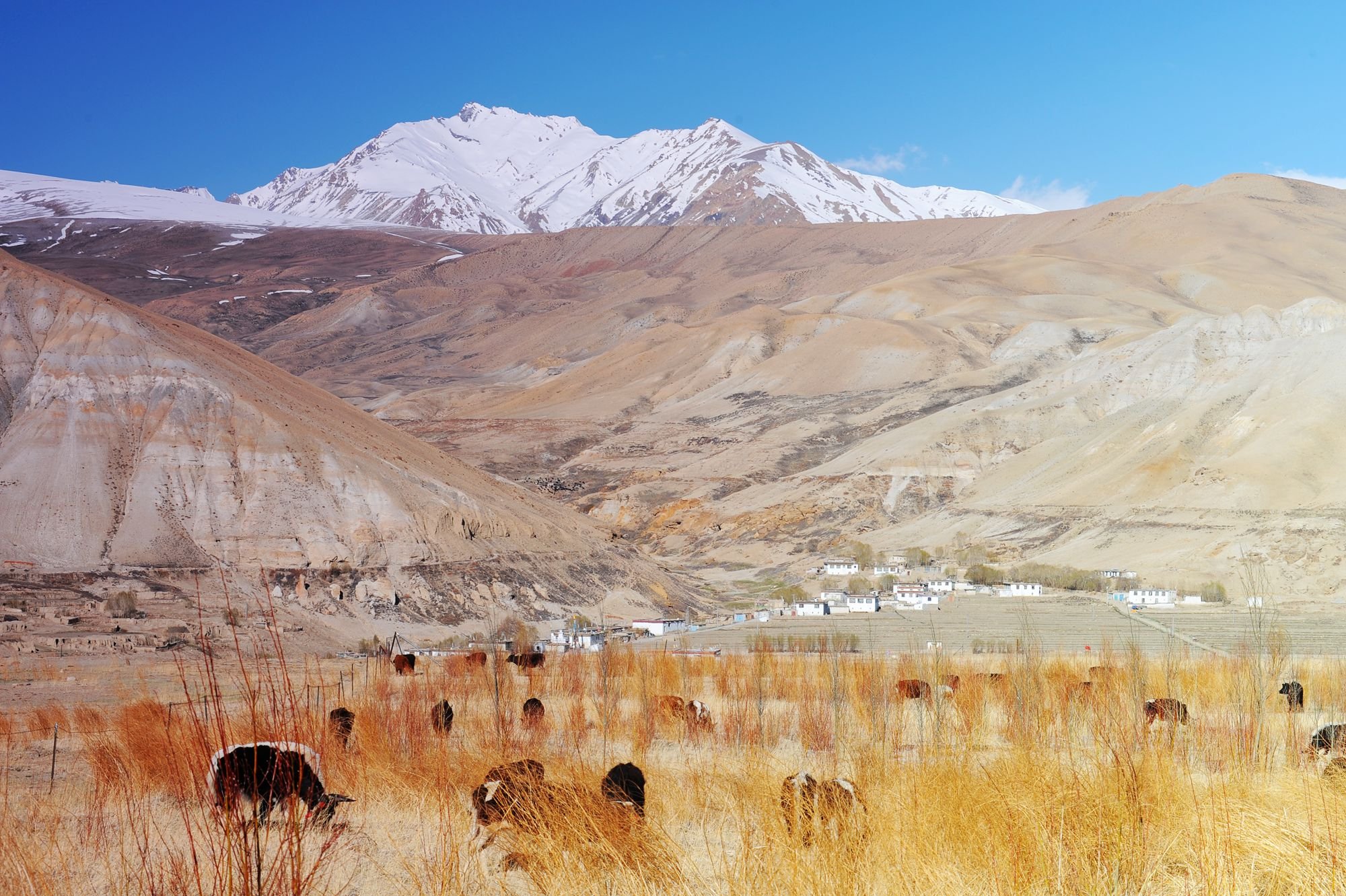 摄影,风景,私人地理,普兰
