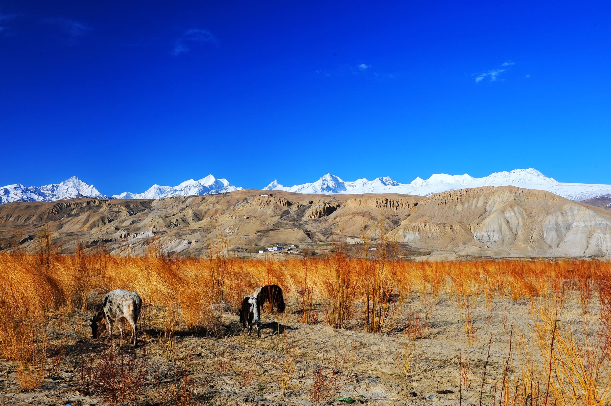 摄影,风景,私人地理,普兰