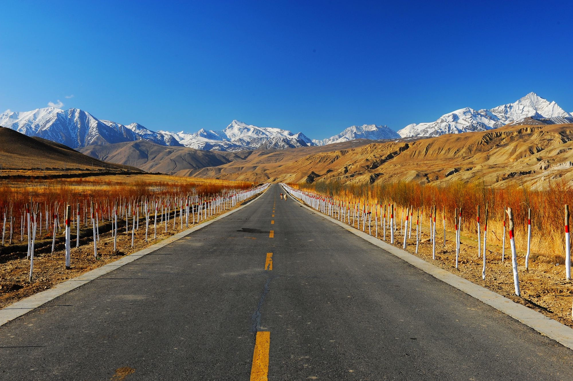 摄影,风景,私人地理,普兰