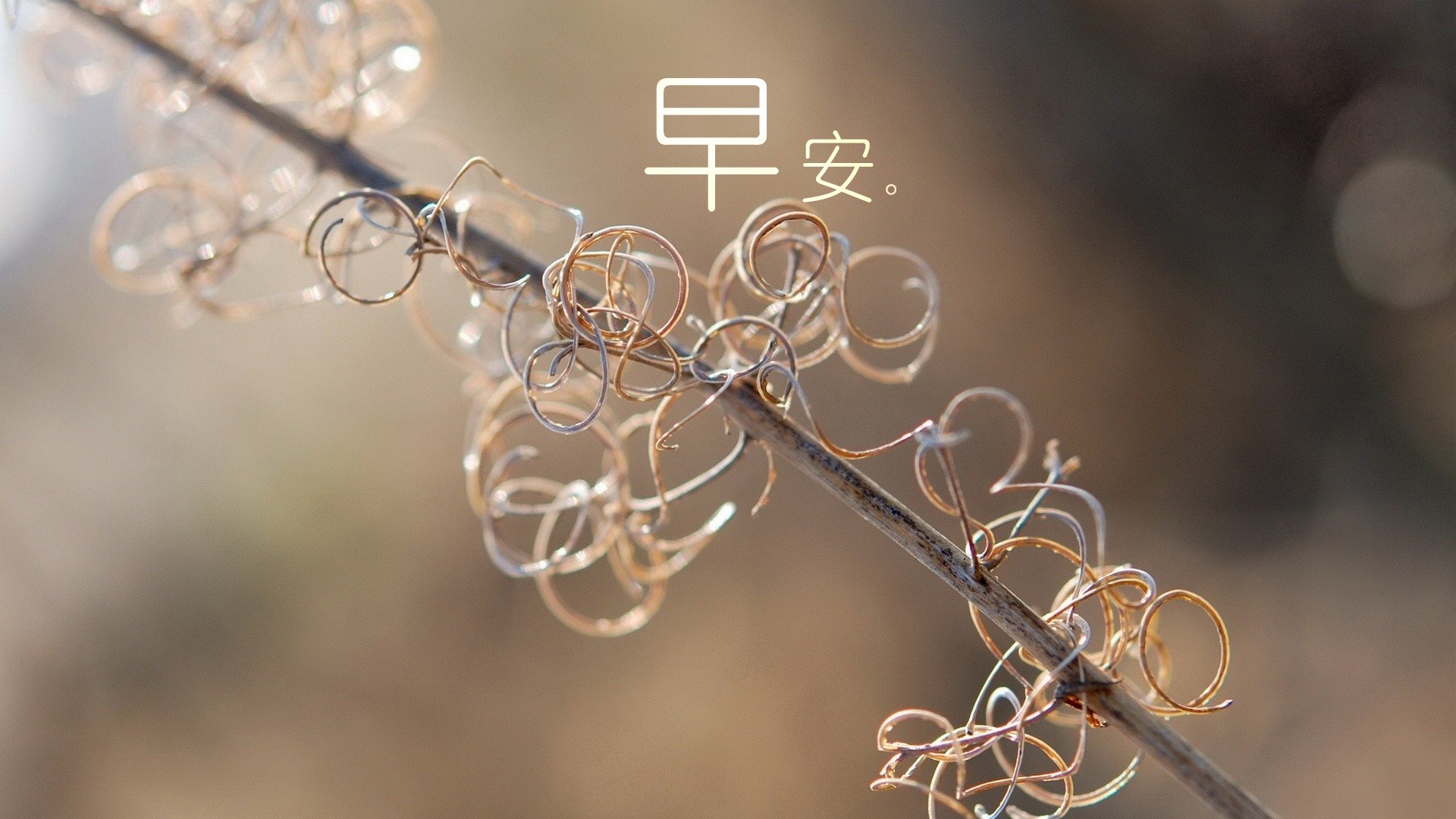 小清新,唯美,早安,温暖,温馨,夕阳,阳光