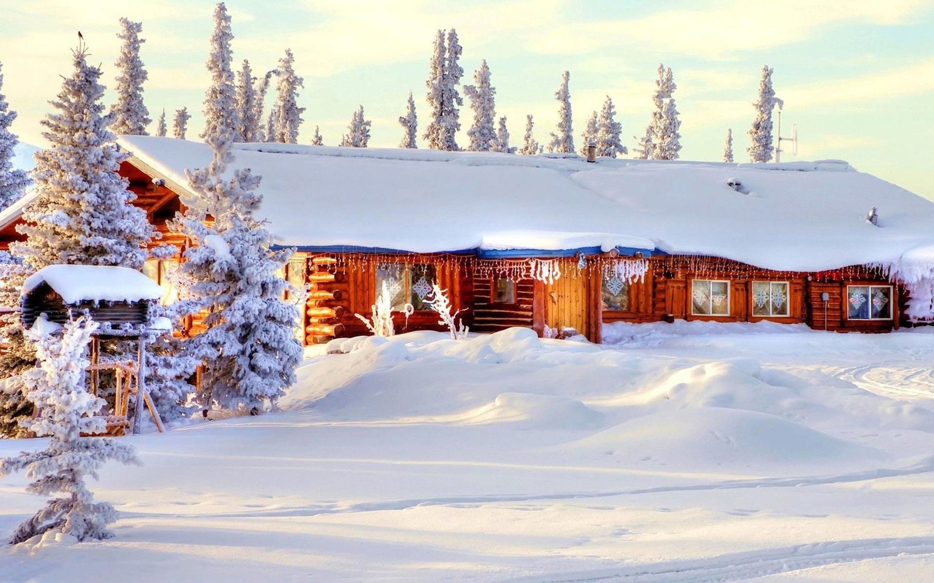 风景,银装素裹,粉妆玉砌,冰雪世界,宽屏