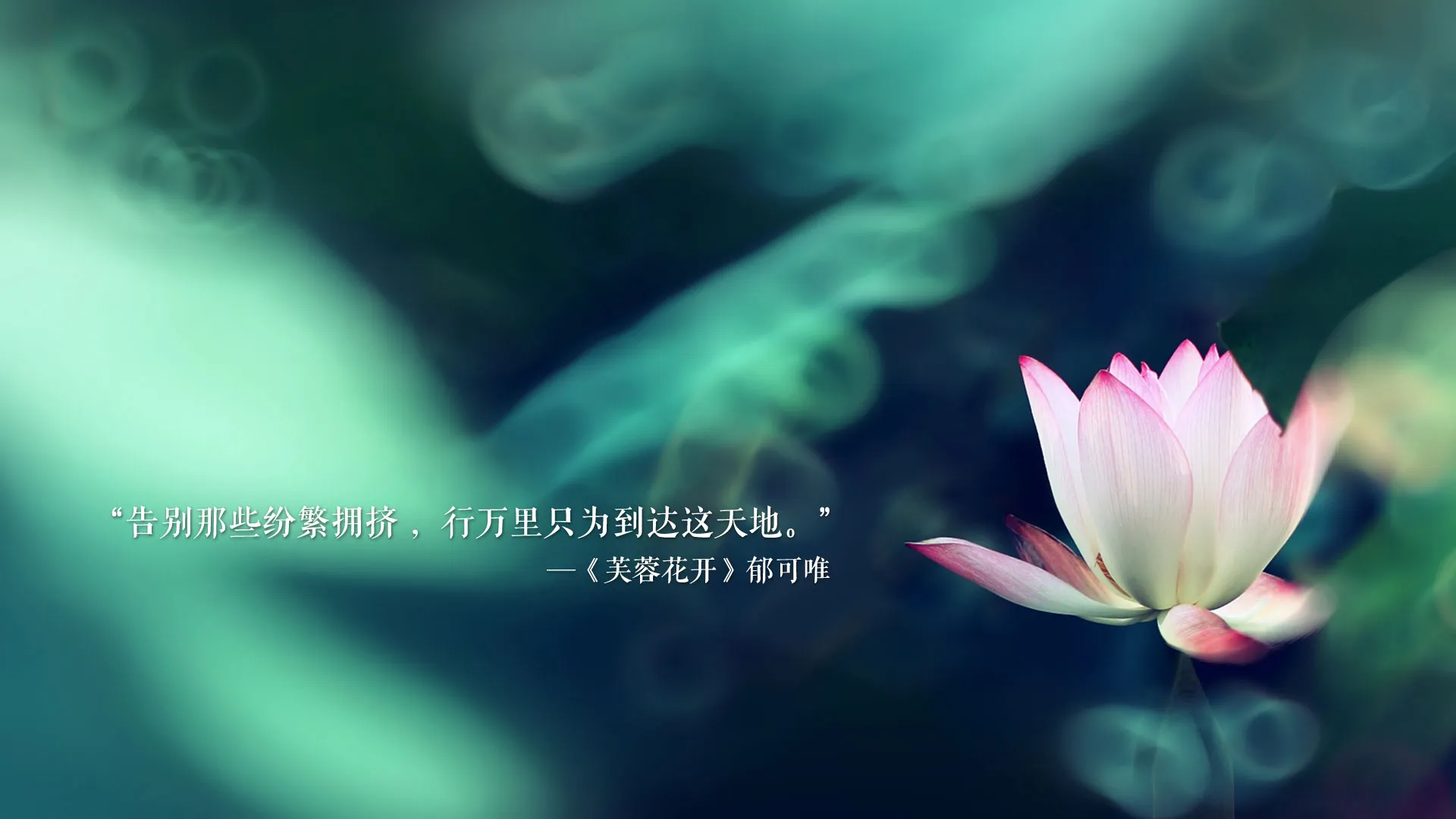 老付blog