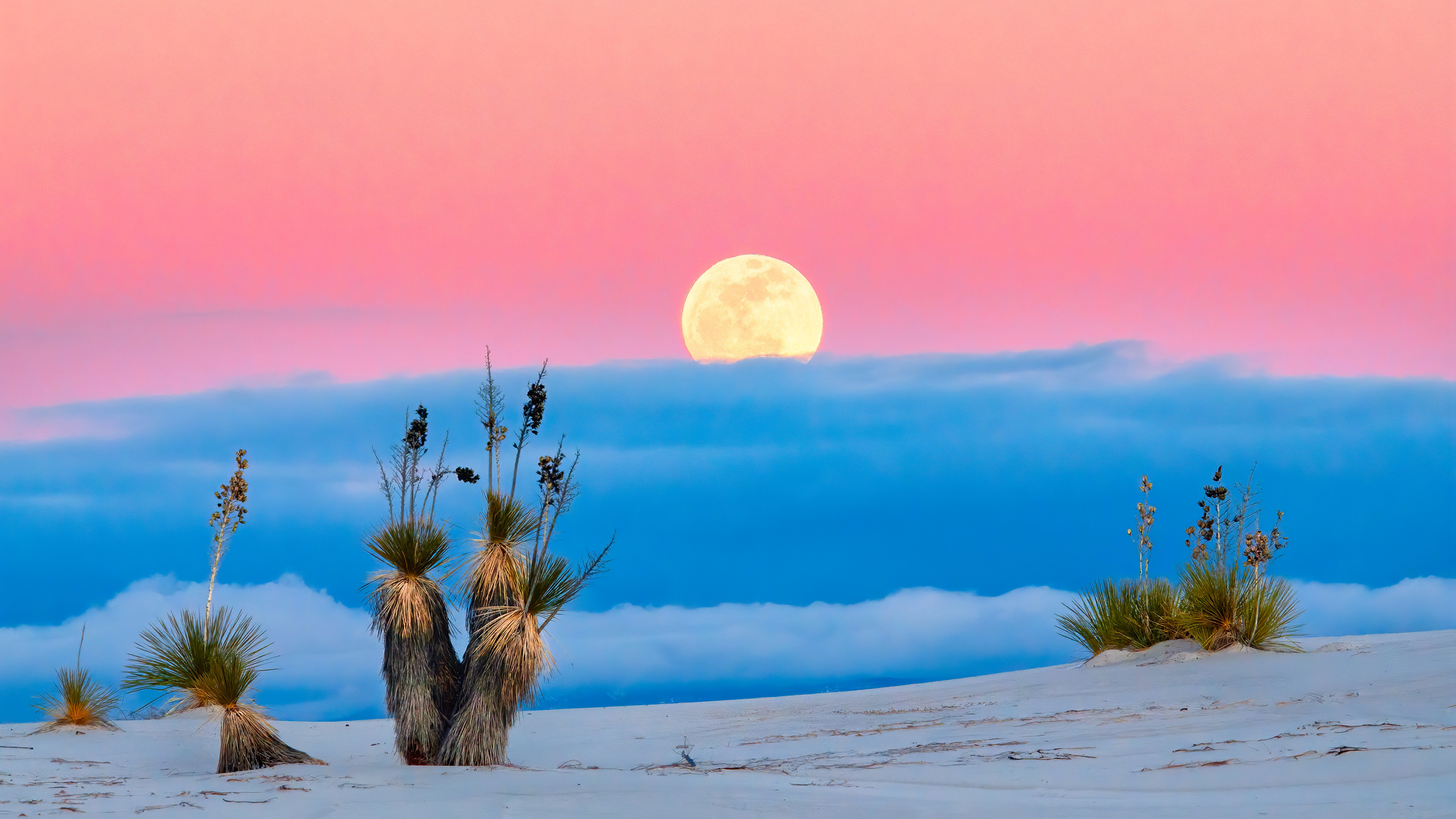 风景,日出,日落