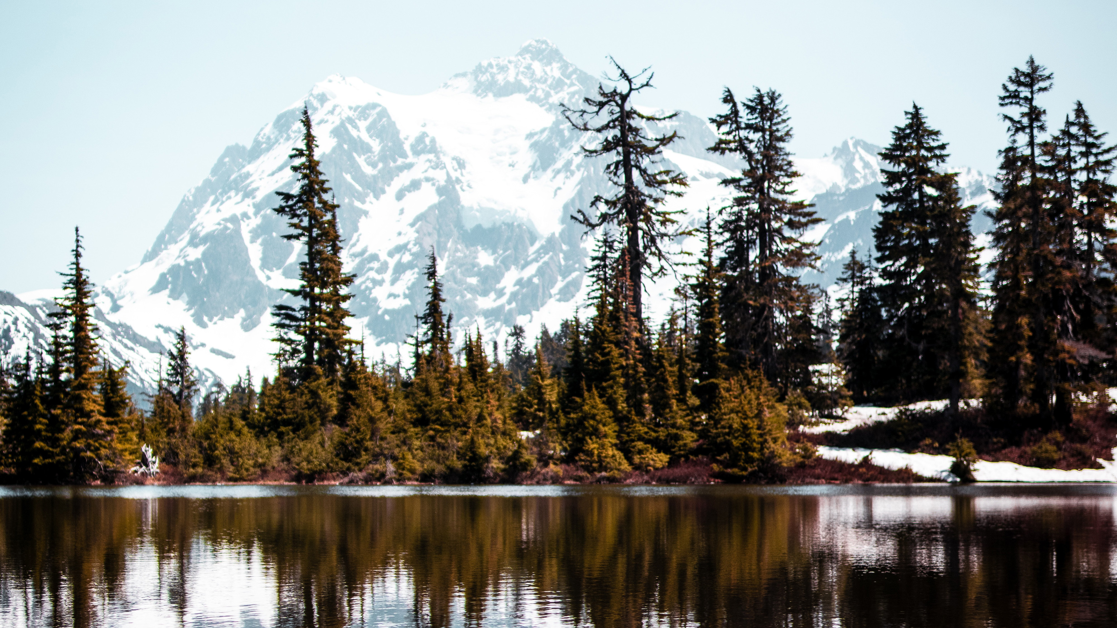 风景,雪山,森林