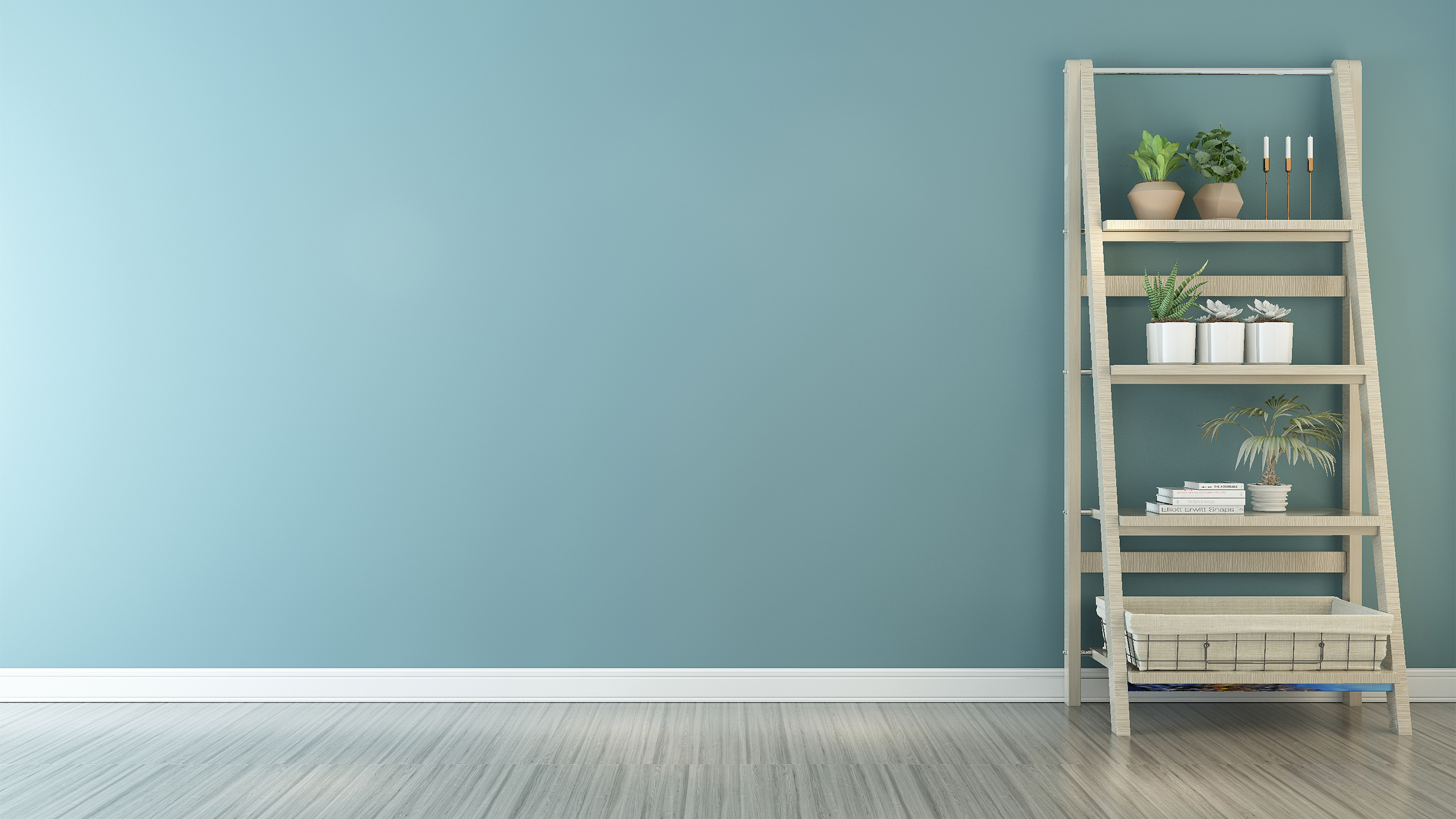 静物写真,多肉,居家,花架