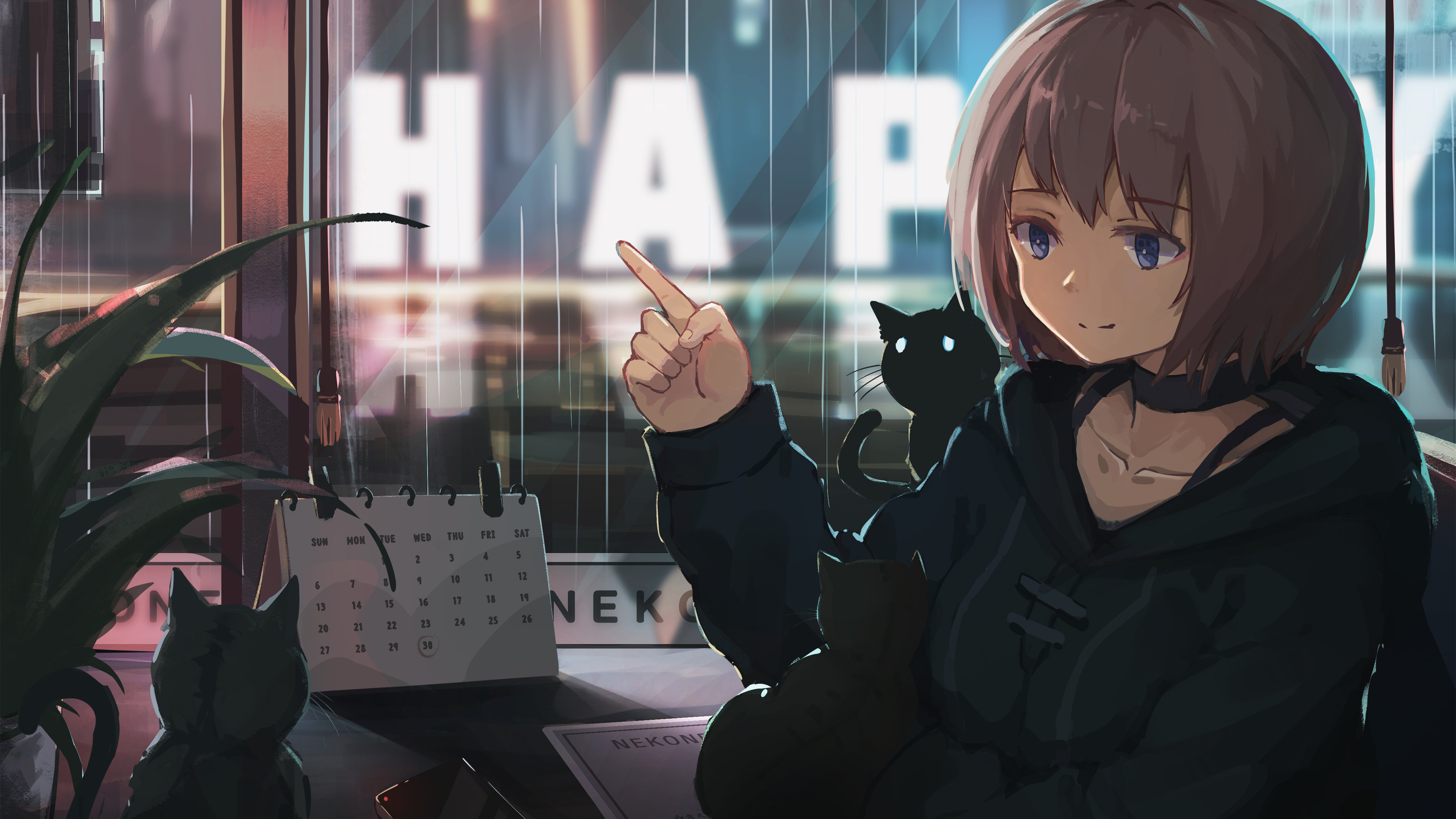 卡通人物,雨,猫咪,日历