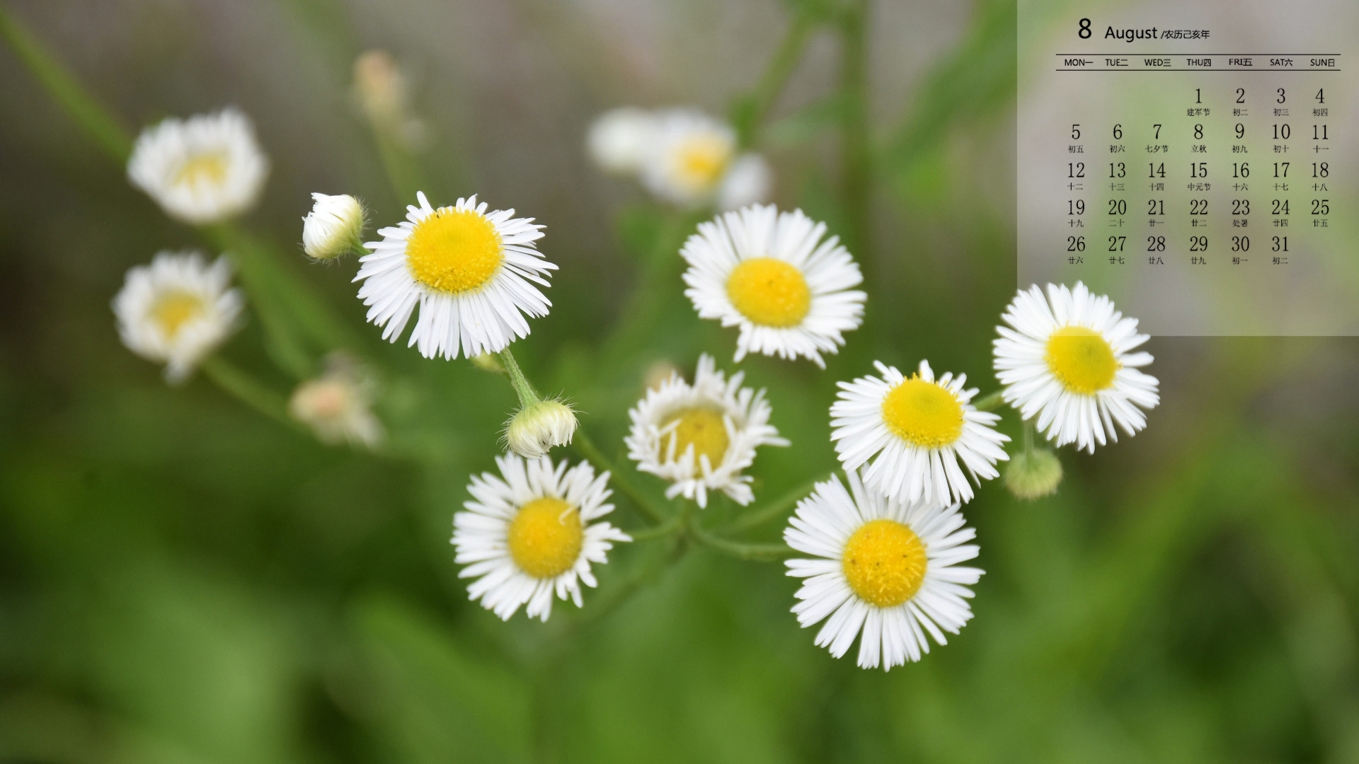 月历,2019年8月
