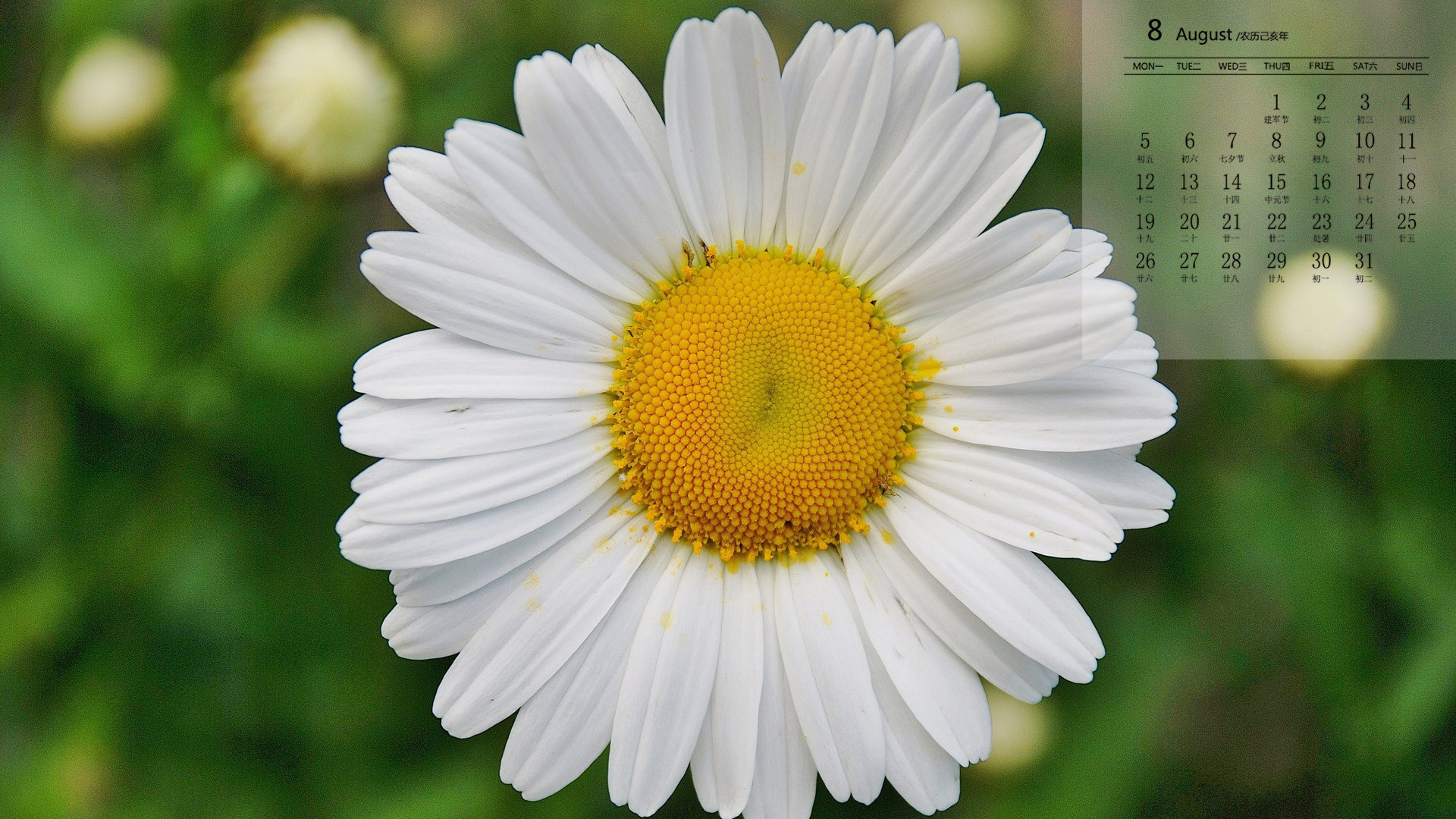 月历,2019年8月