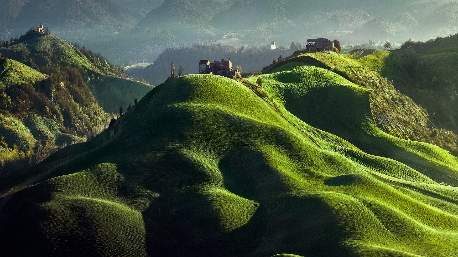 春意盎然,草地,城堡