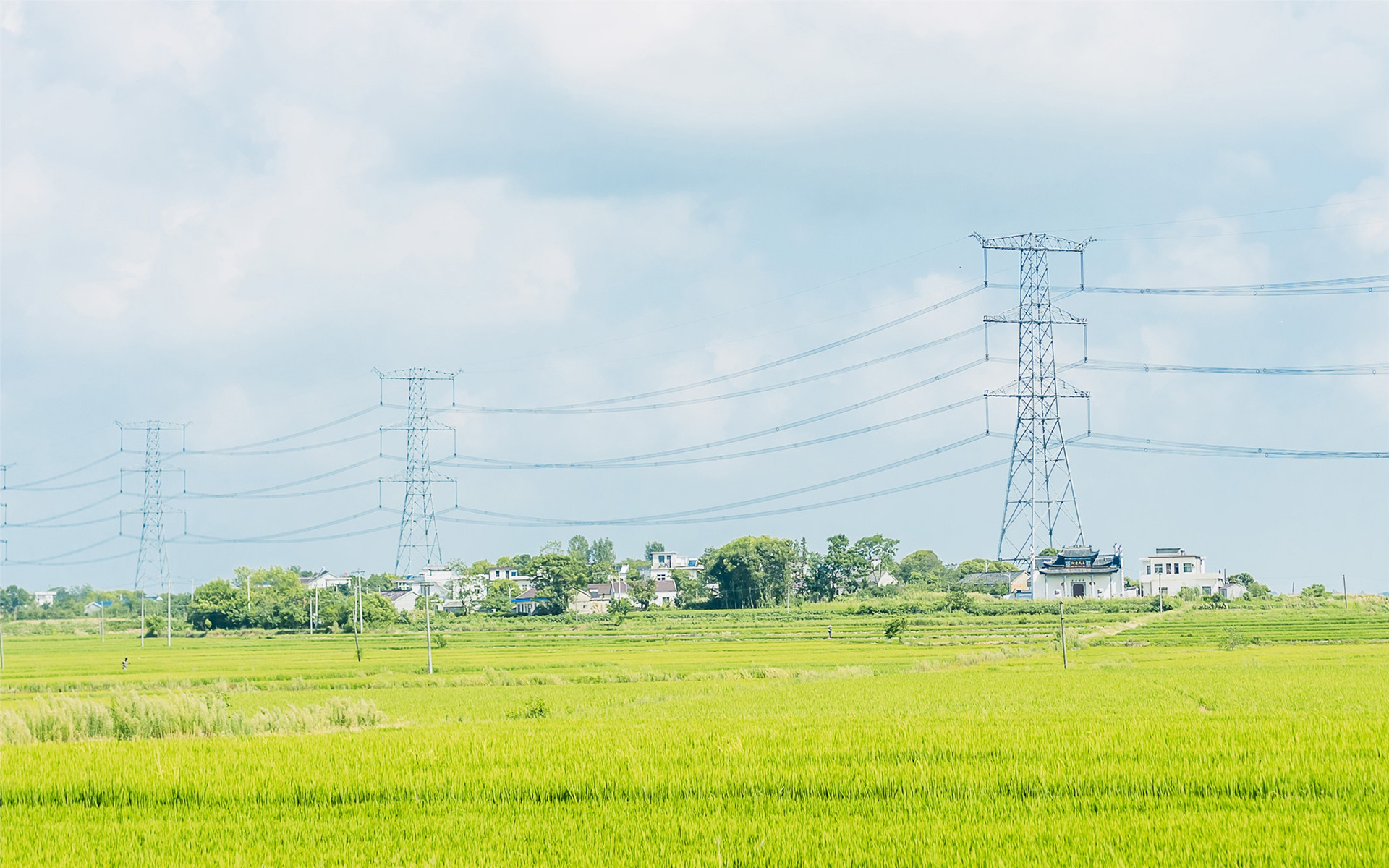 小清新,水稻,铁塔