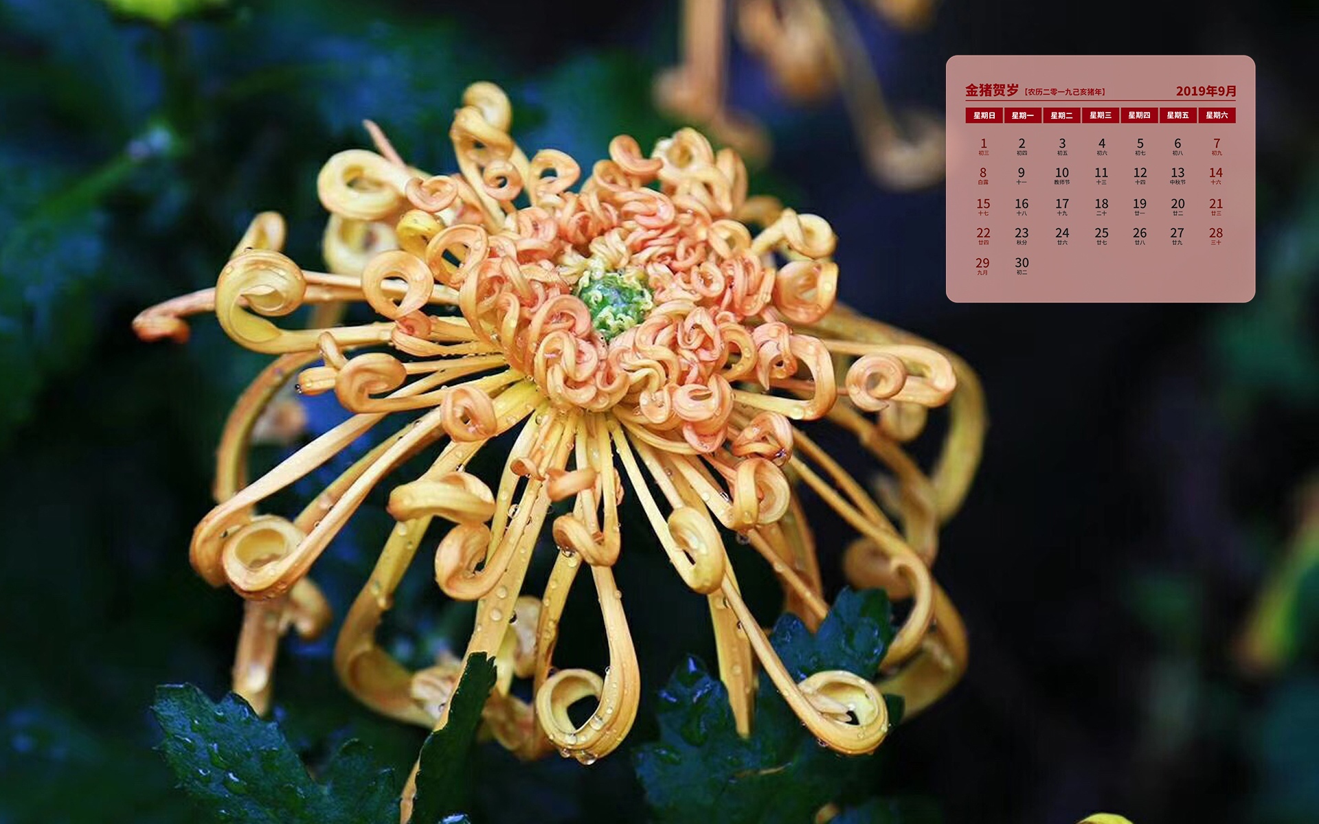 月历壁纸,九月,2019年9月,日历