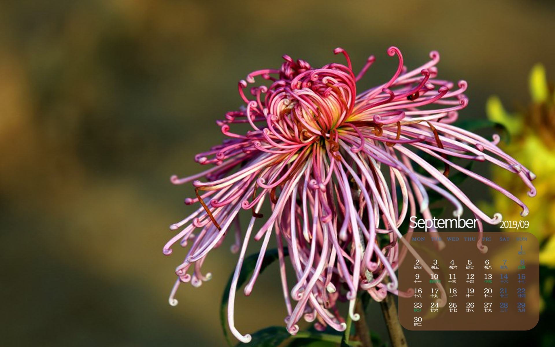 月历壁纸,九月,2019年9月,日历