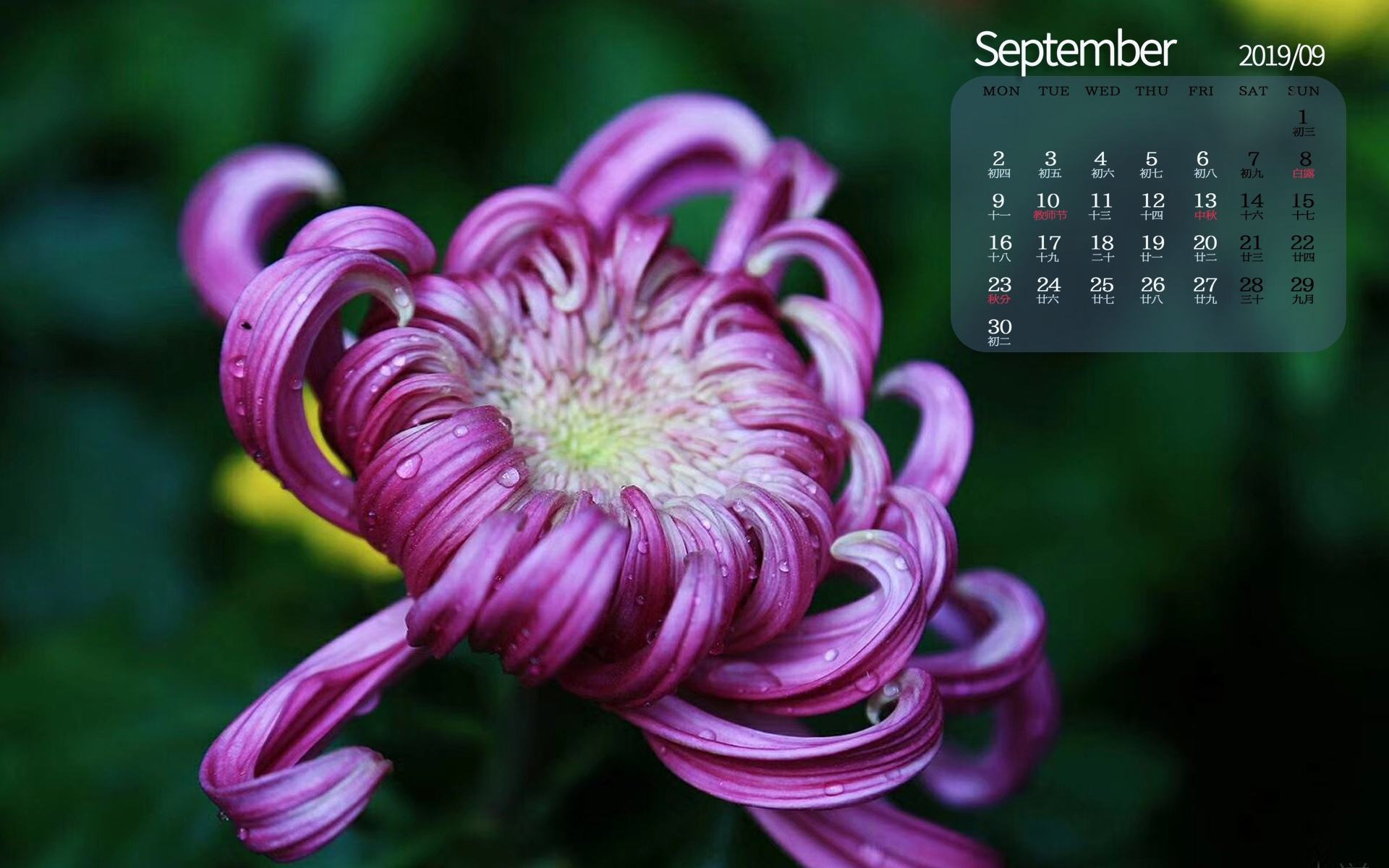 月历壁纸,九月,2019年9月,日历