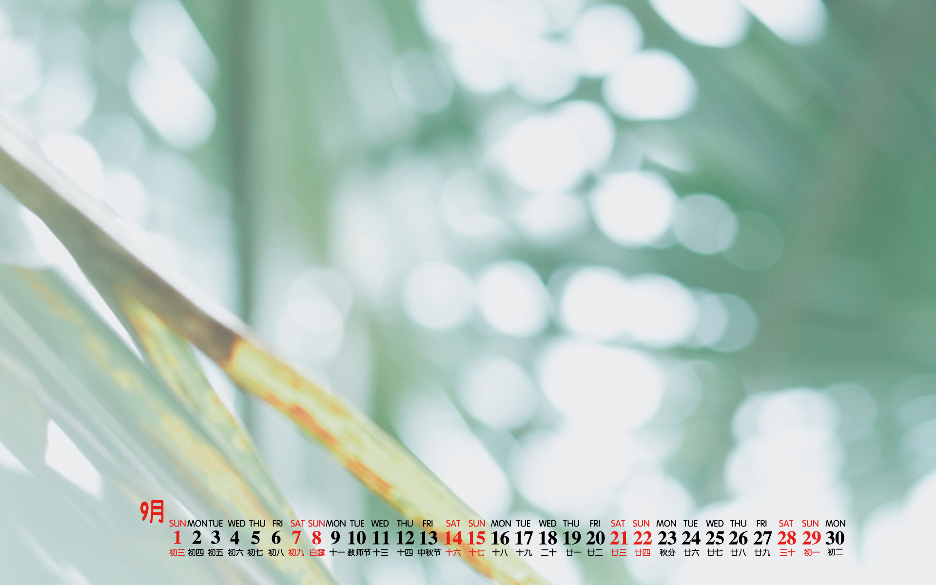 月历壁纸,九月,2019年9月,日历