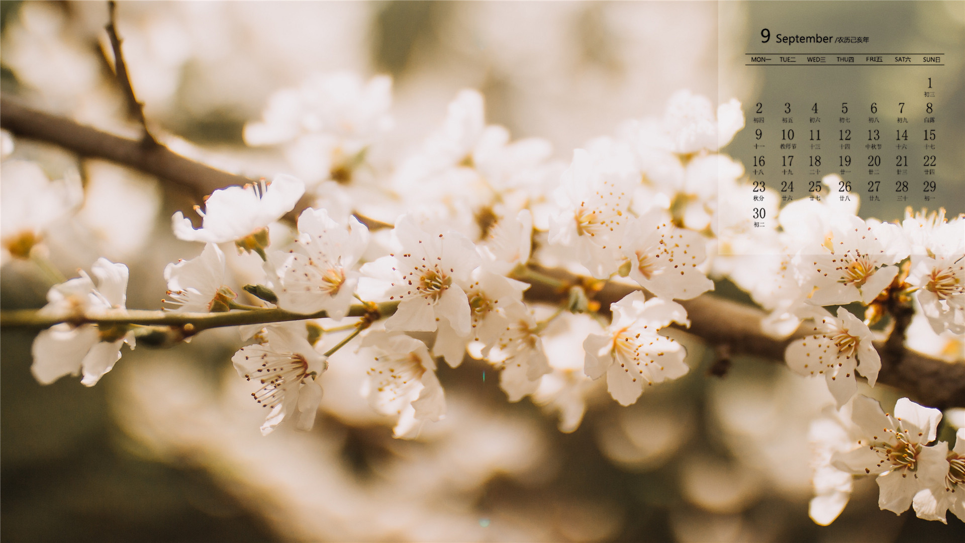 月历壁纸,九月,2019年9月,日历