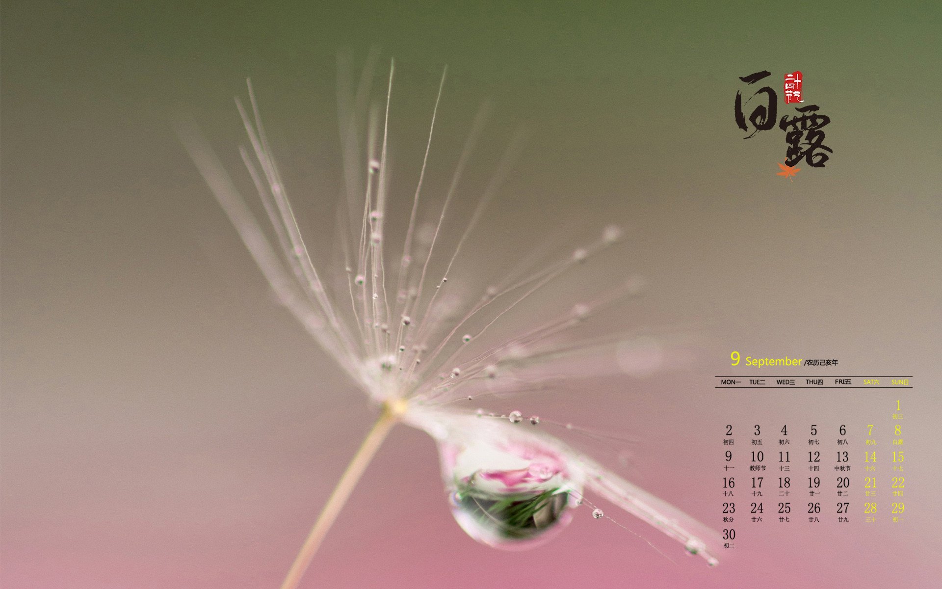 月历壁纸,九月,2019年9月,白露,日历