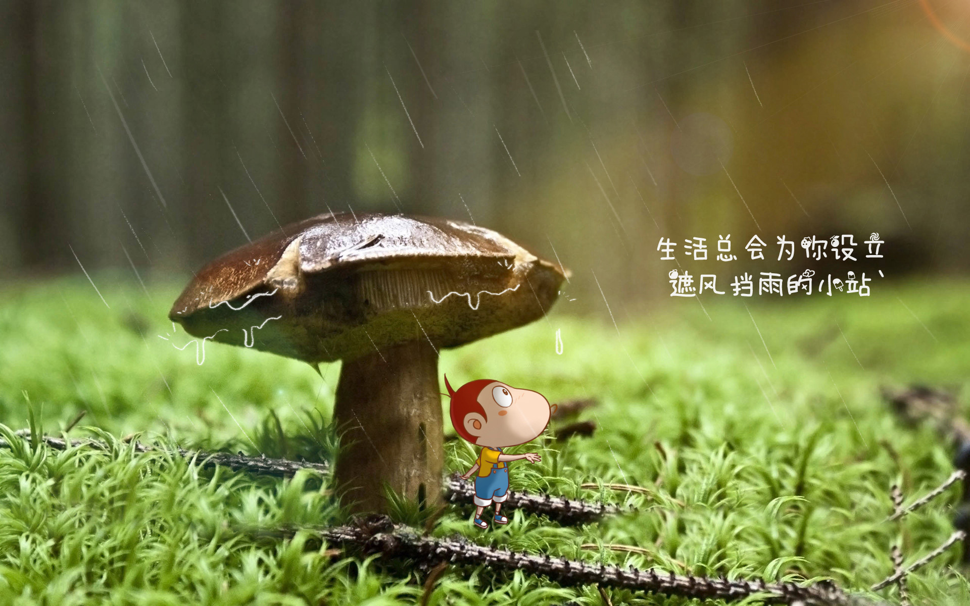 生活,蘑菇,遮风挡雨,小站