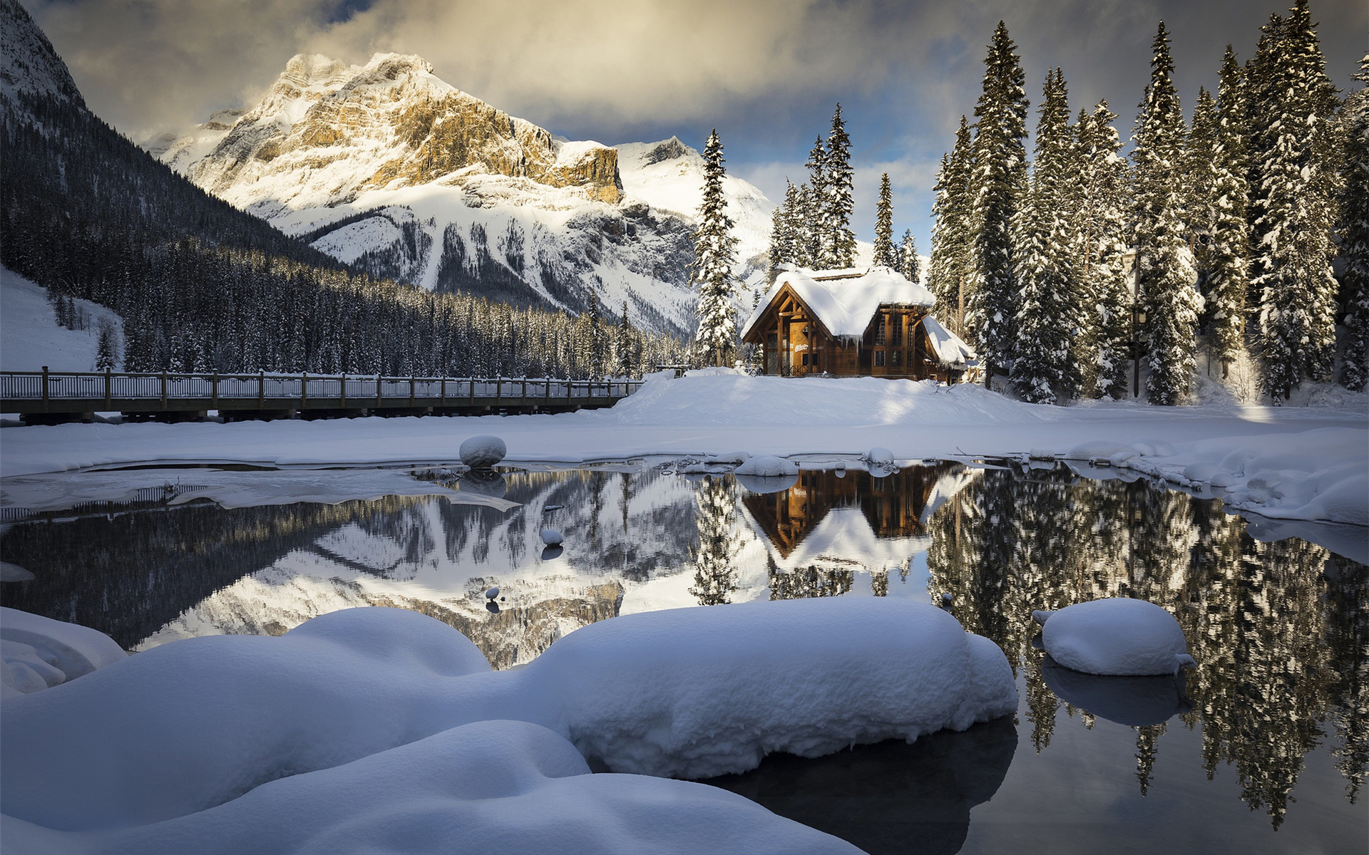 冰天雪地,小屋,森林