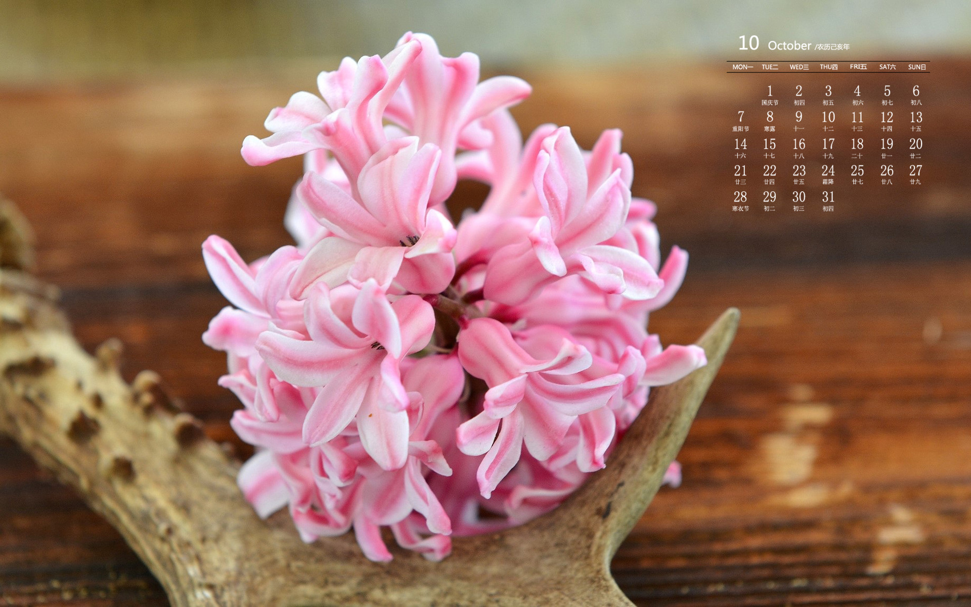 月历壁纸,九月,2019,年,10,月,日历