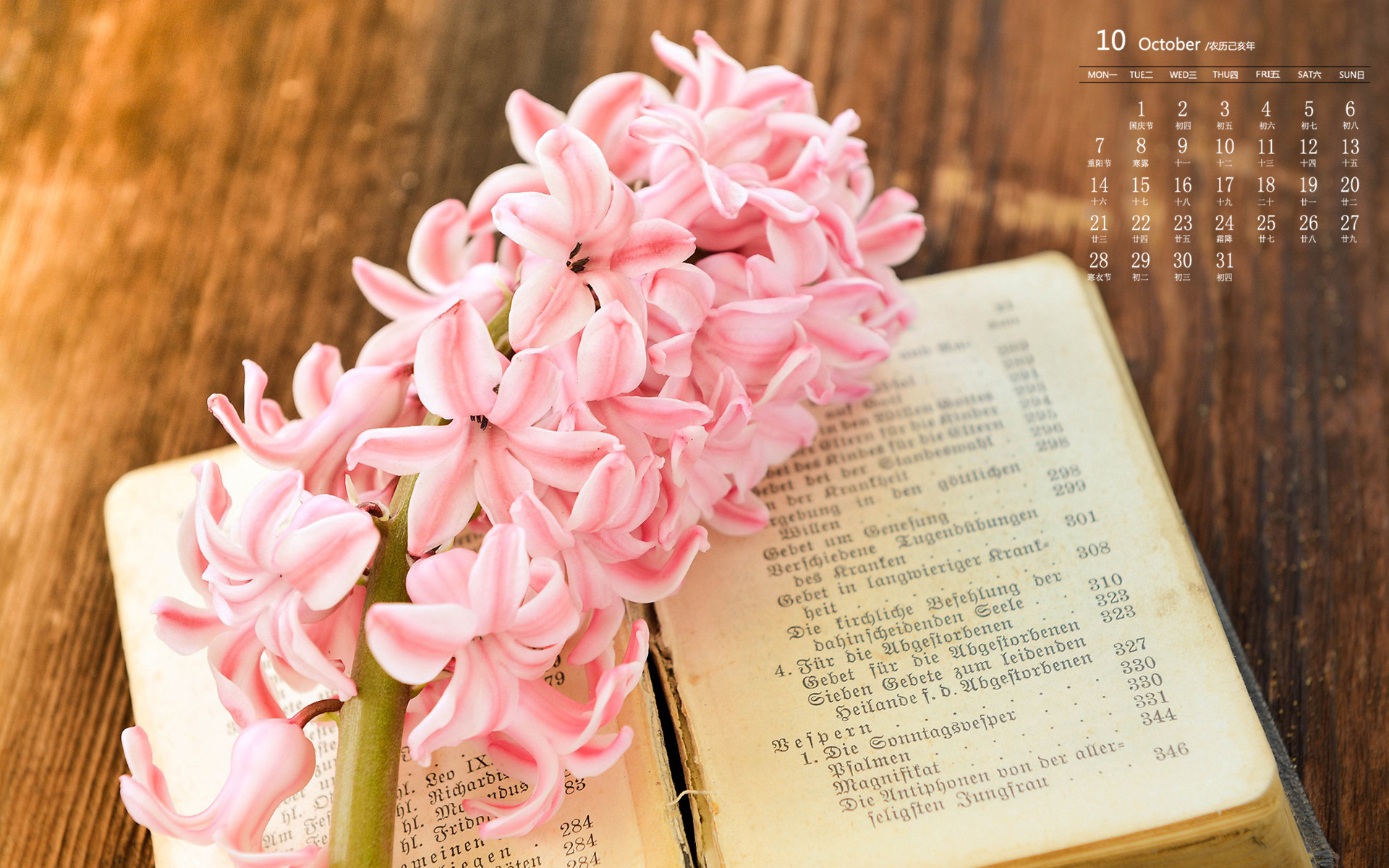 月历壁纸,九月,2019,年,10,月,日历