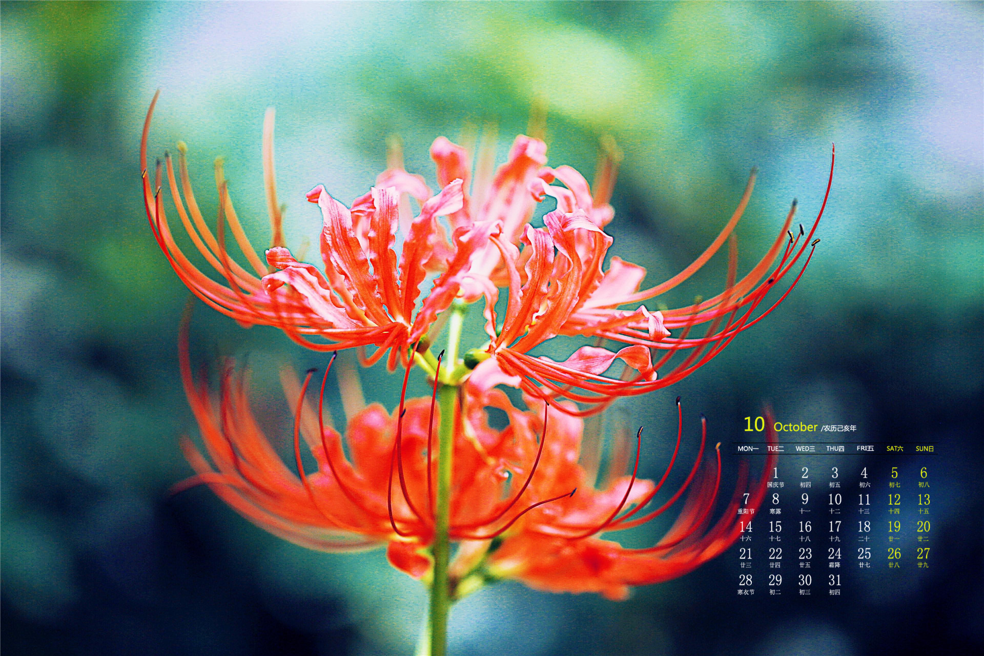 月历壁纸,九月,2019,年,10,月,日历