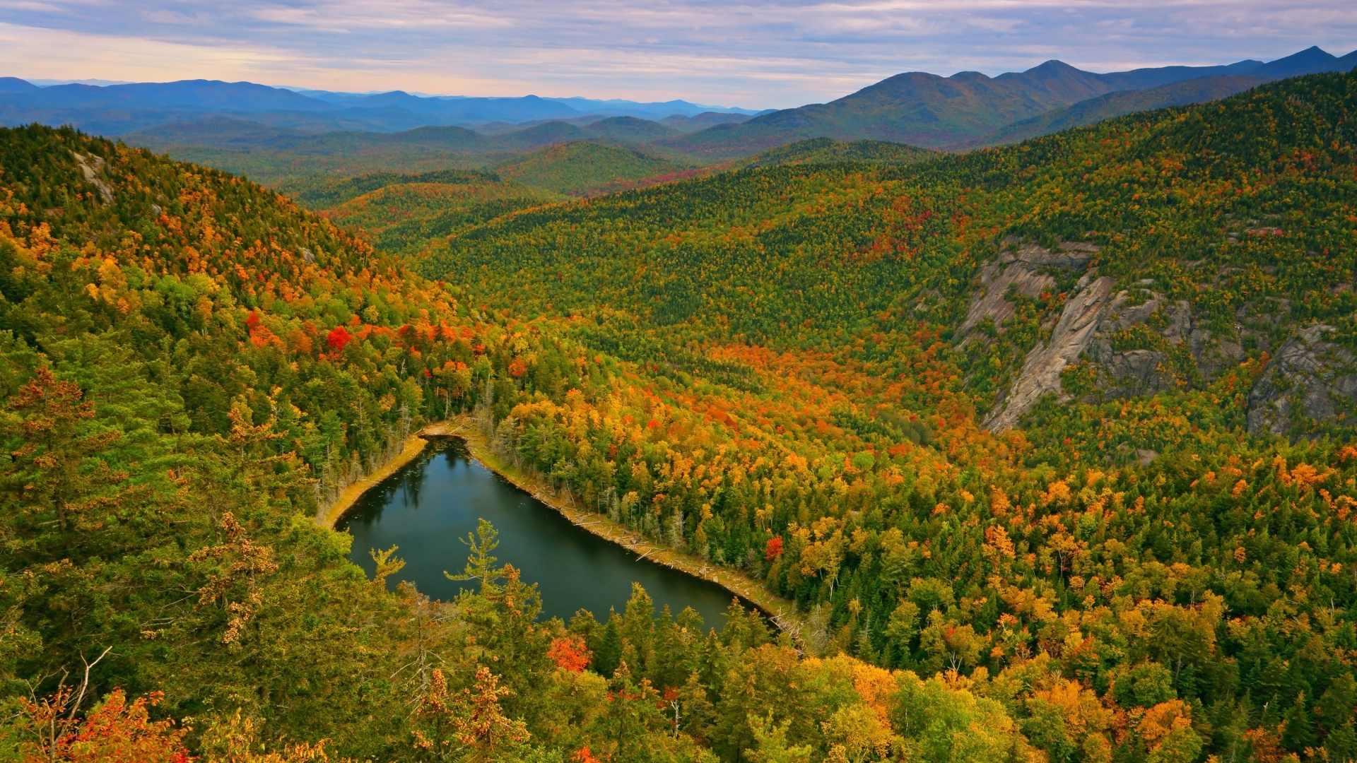 秋意正浓,红树林,山坡