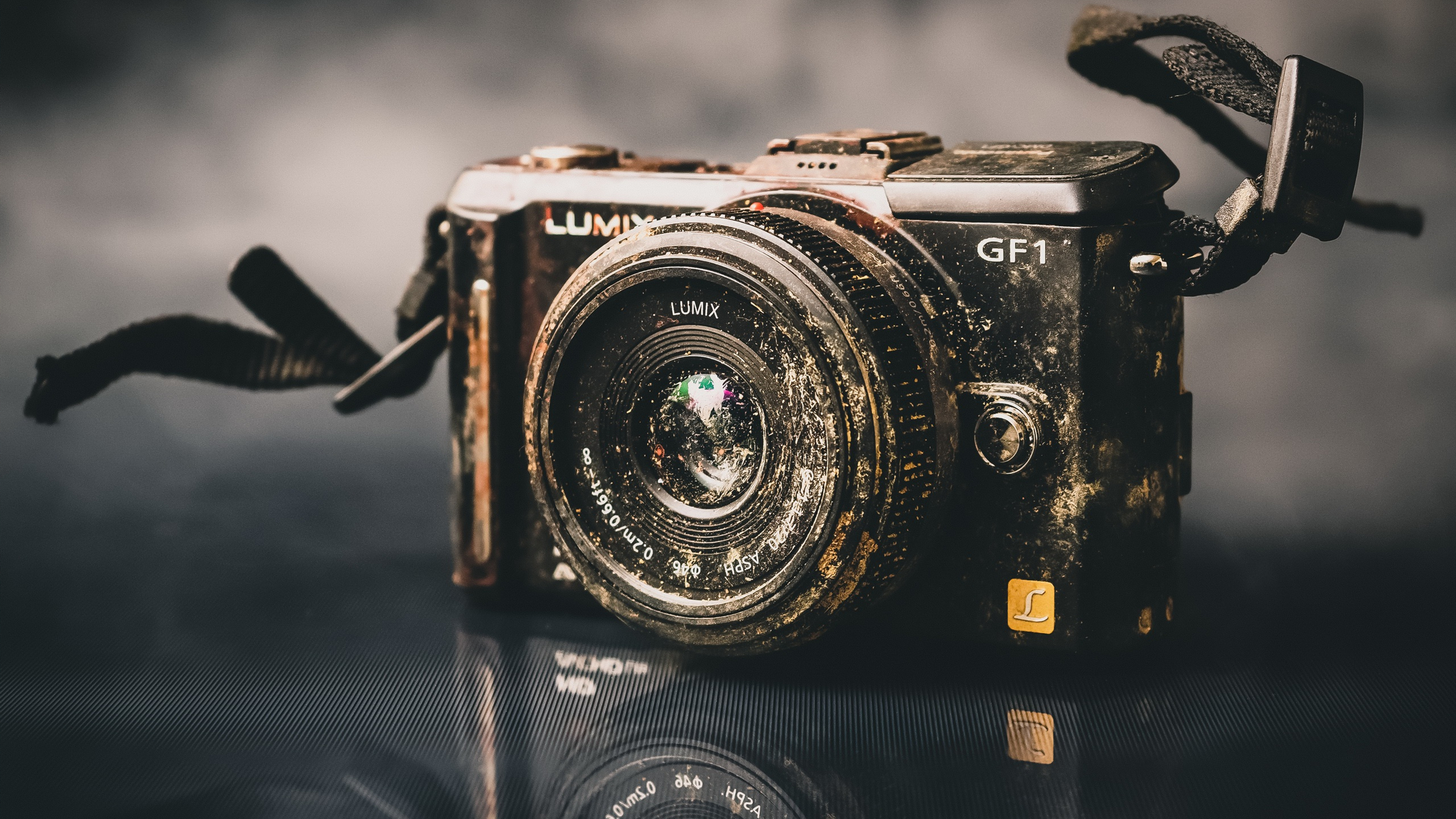 相机,复古,照相机