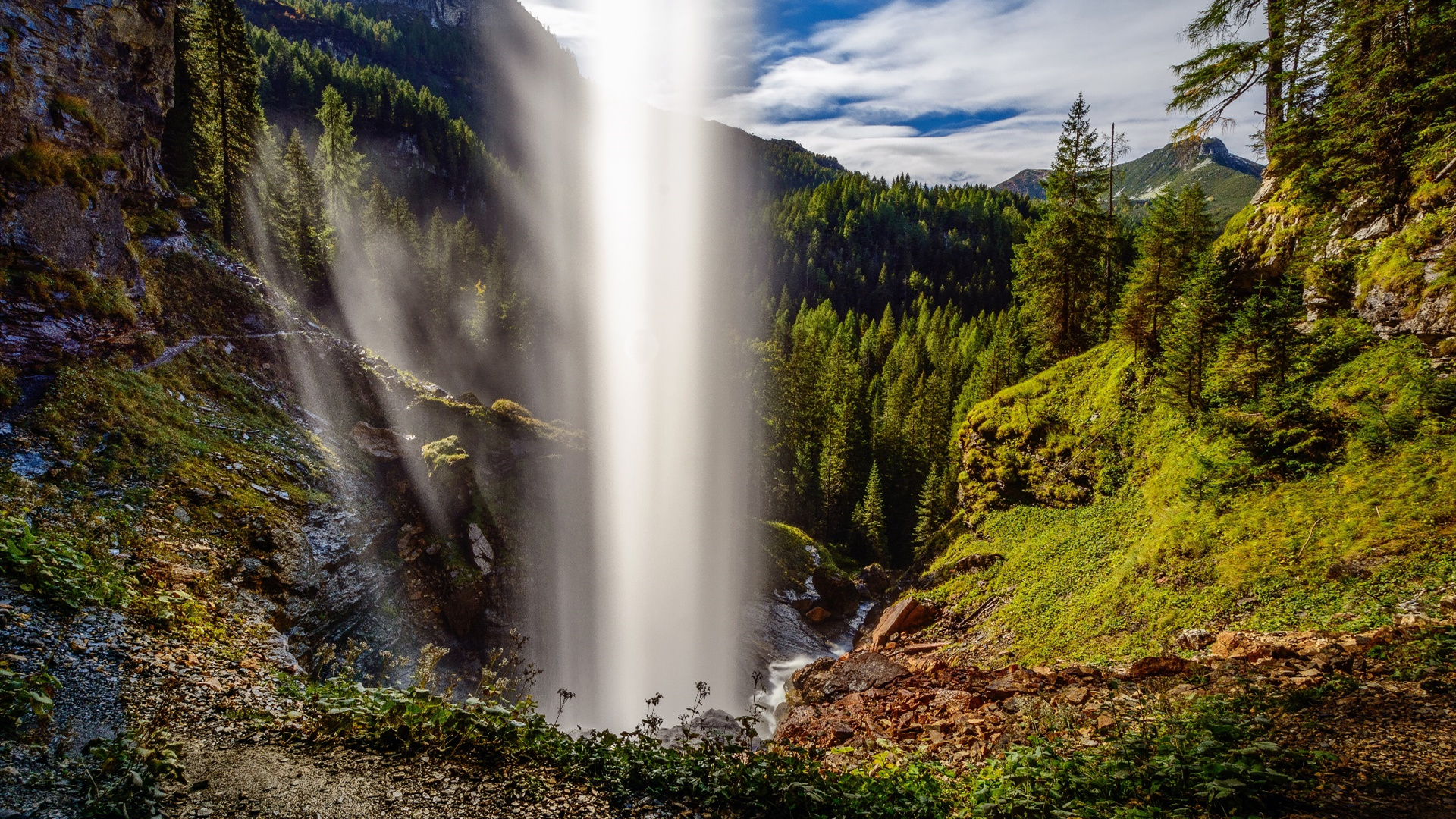 自然风光,瀑布,森林
