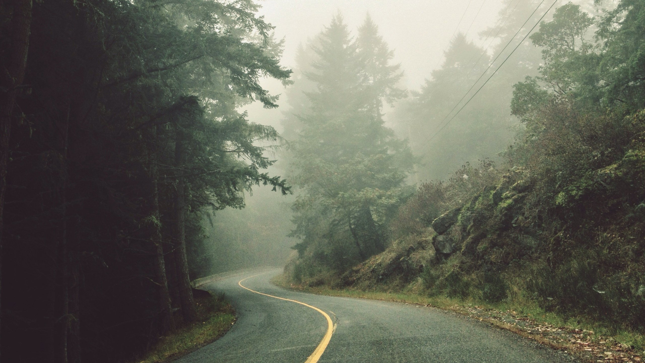 自然风光,晨雾,公路,清晨