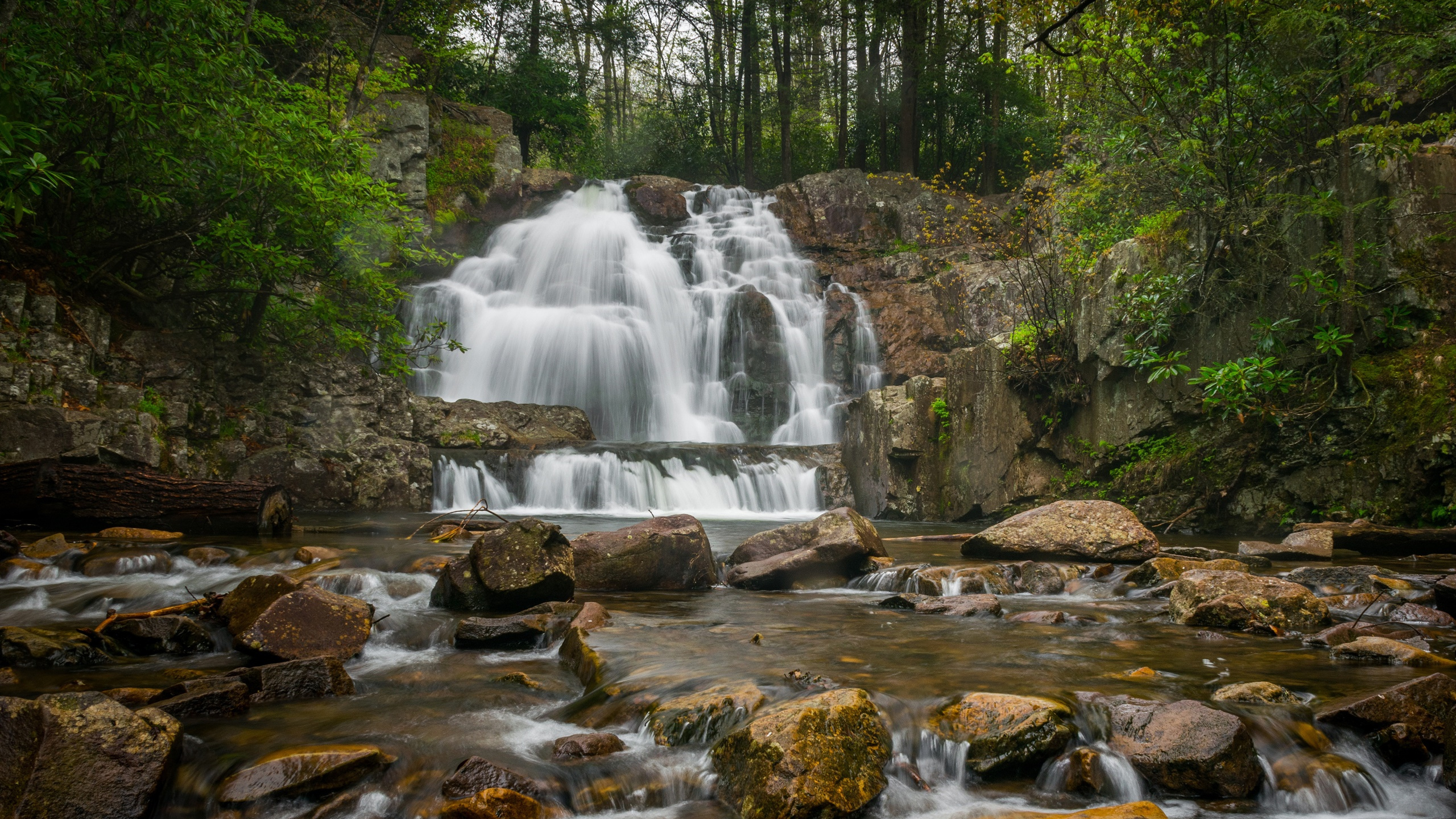 炎炎夏日,瀑布,小溪