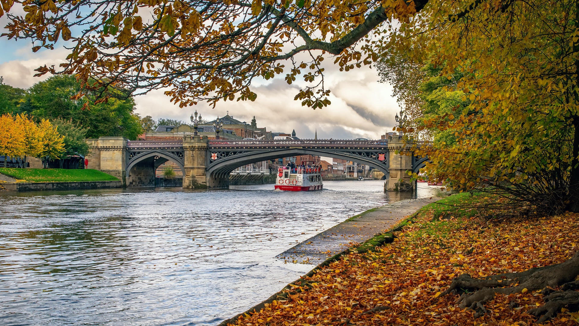 秋意正浓,欧洲,落叶