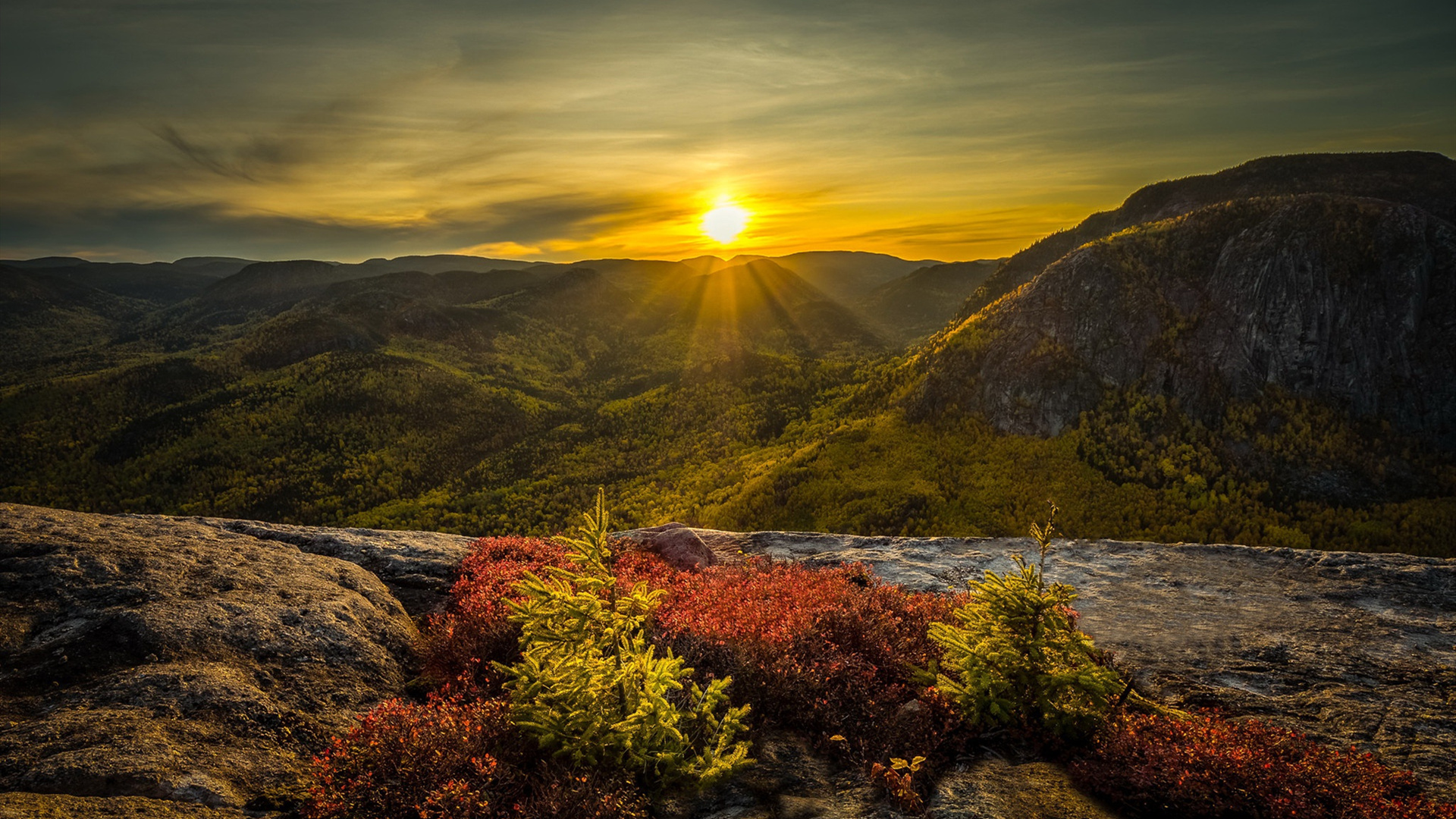 秋意正浓,日出,高山