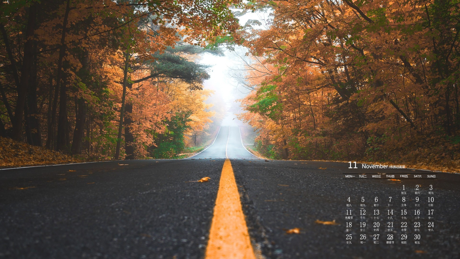 月历,2019年11月,日历