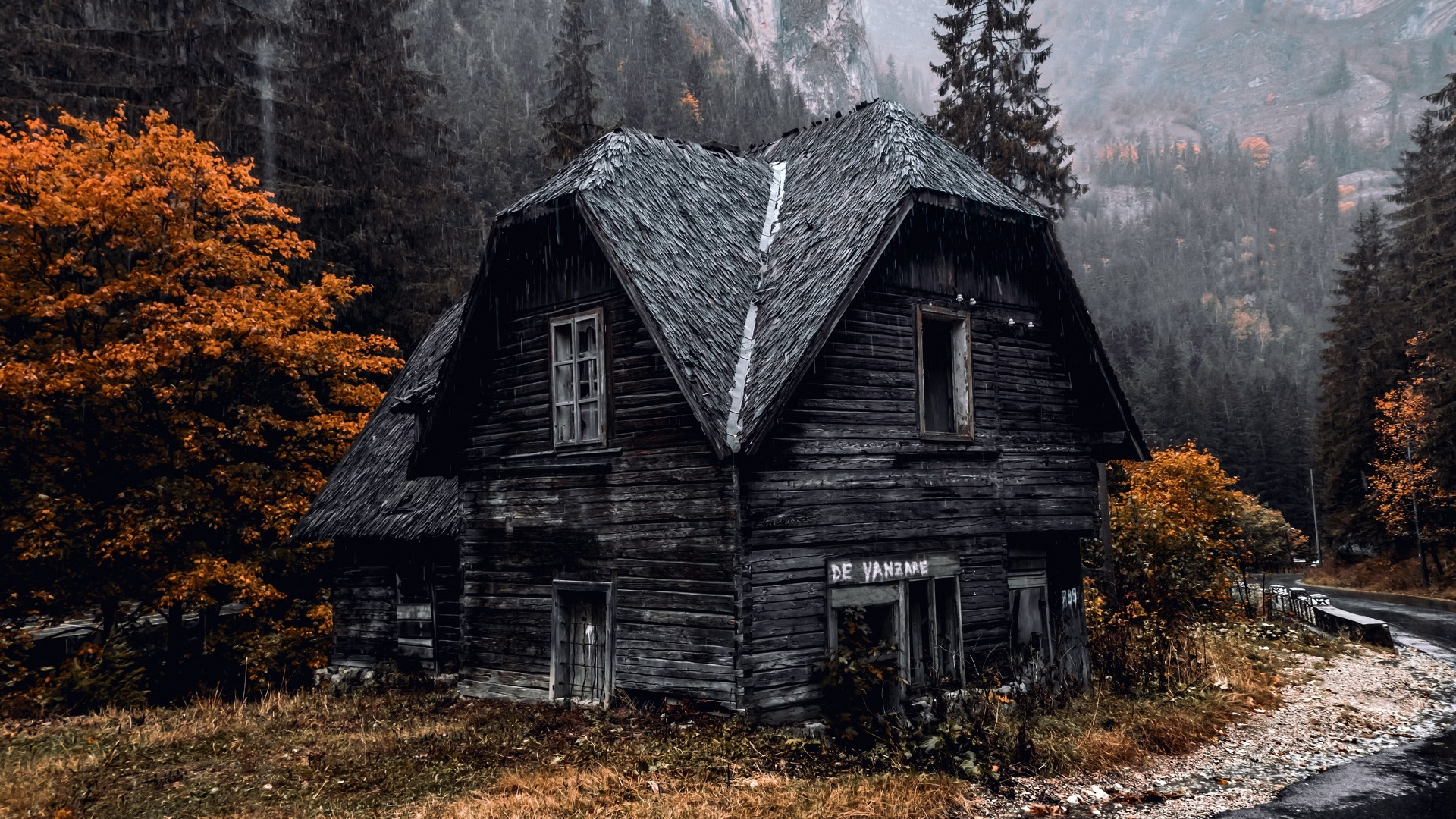 自然风光,小屋,秋天,森林