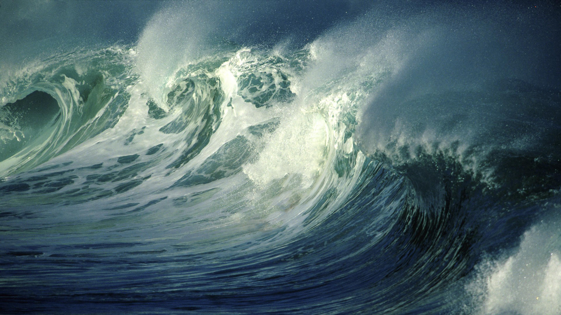 海洋天堂,海浪,海啸