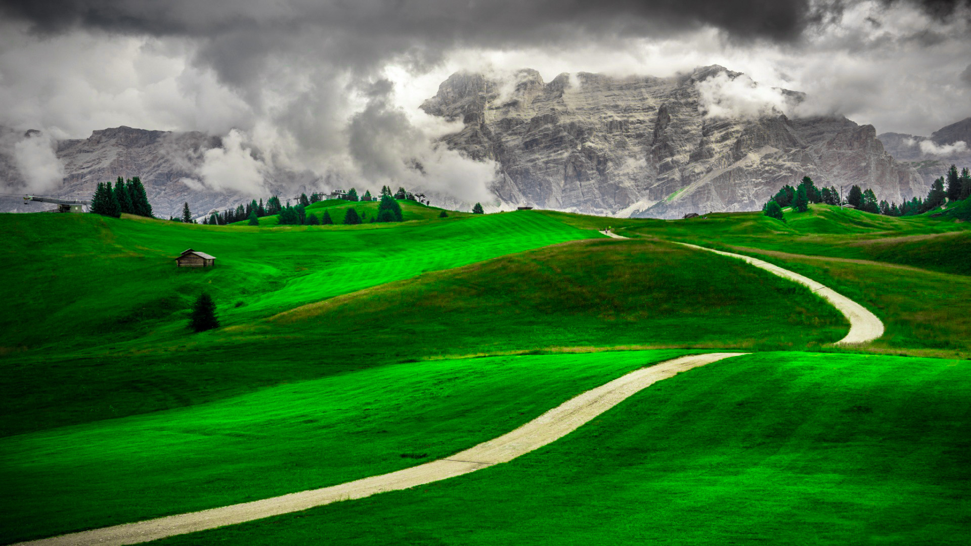 春意盎然,草地,雪山