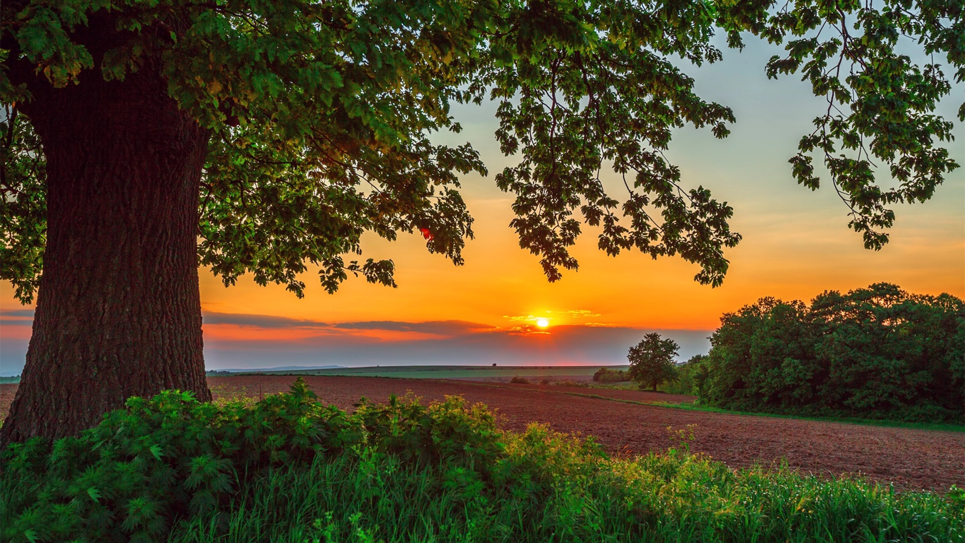 落日余晖,夕阳,草原