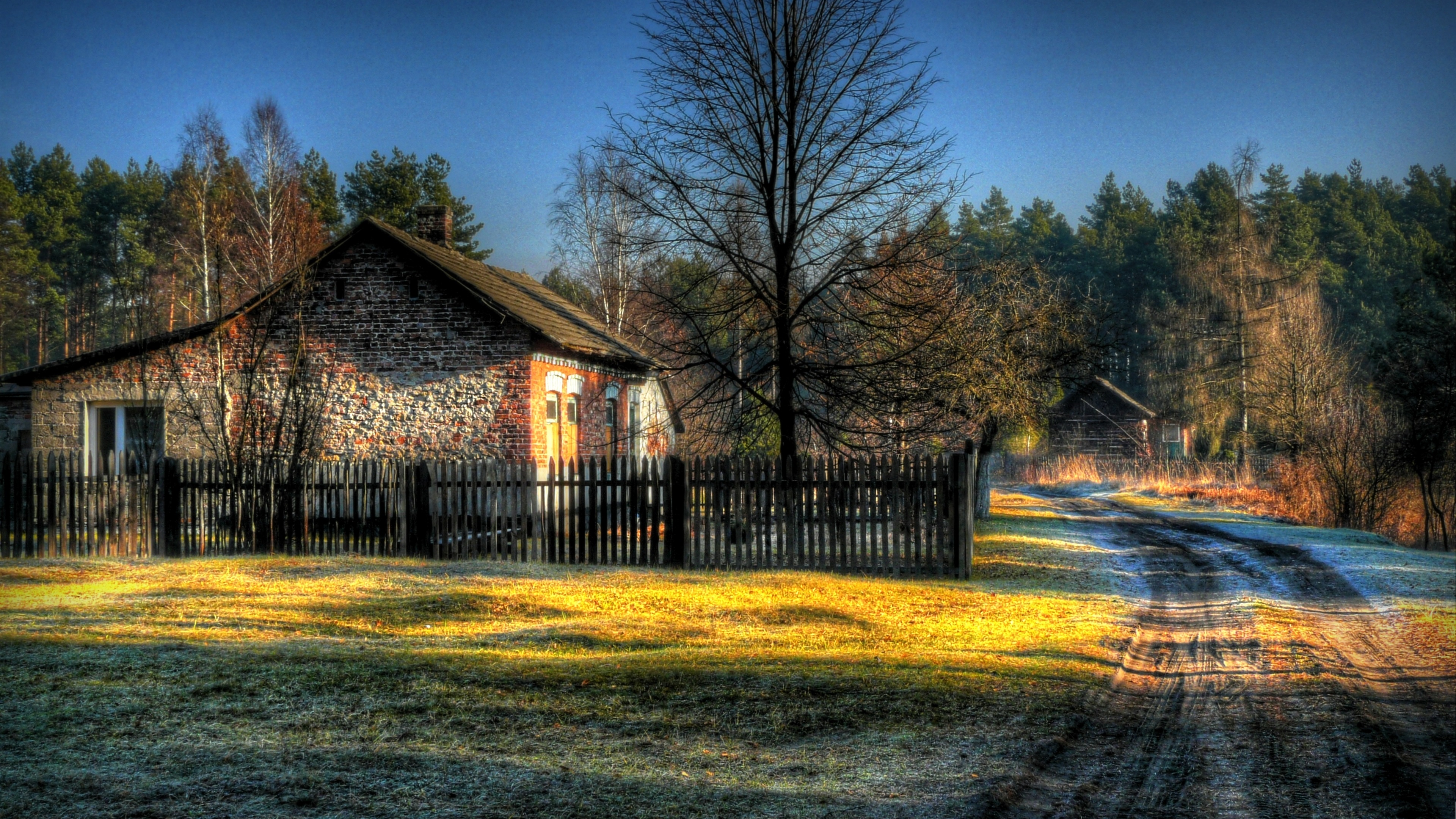 秋天,村舍,金秋