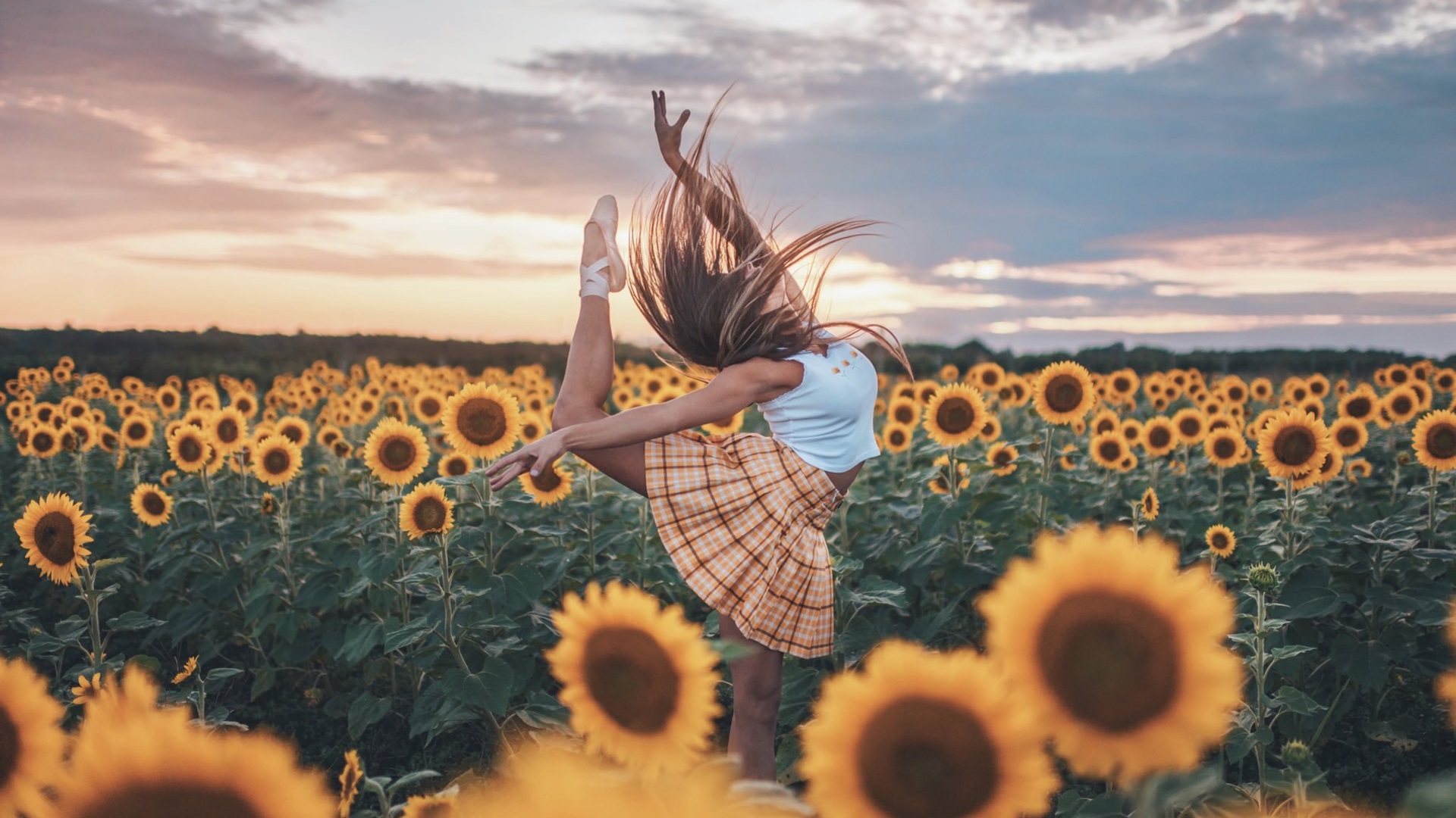 芭蕾,向日葵,艺术